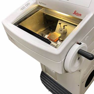 Leica laboratory instrument with a glass cover and a few small objects inside