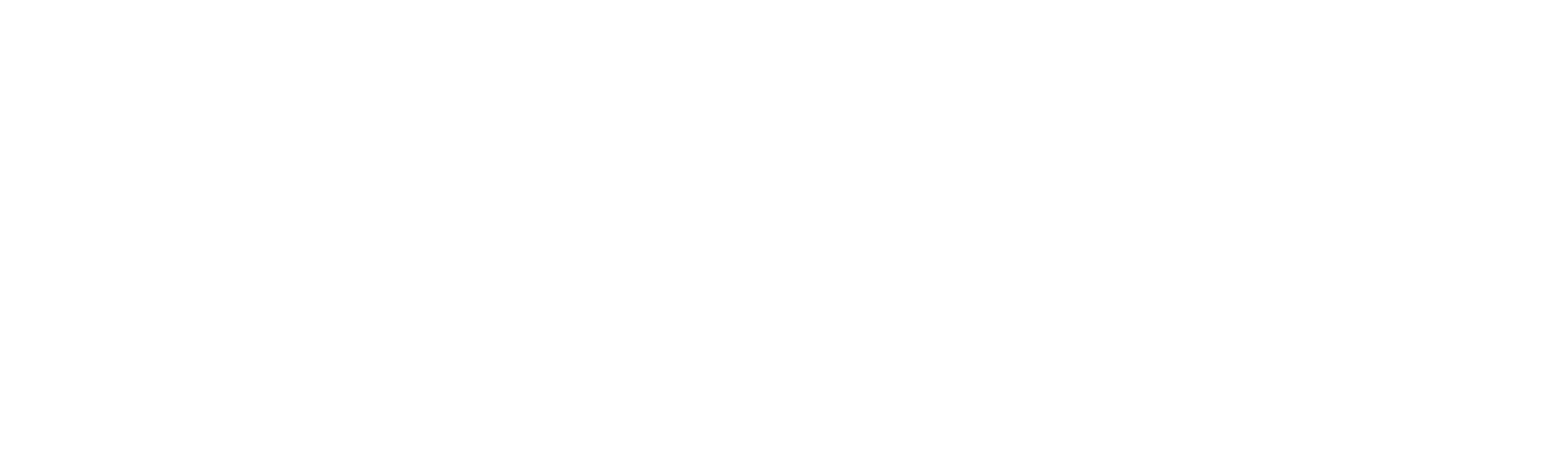 sinusitis wellness logo