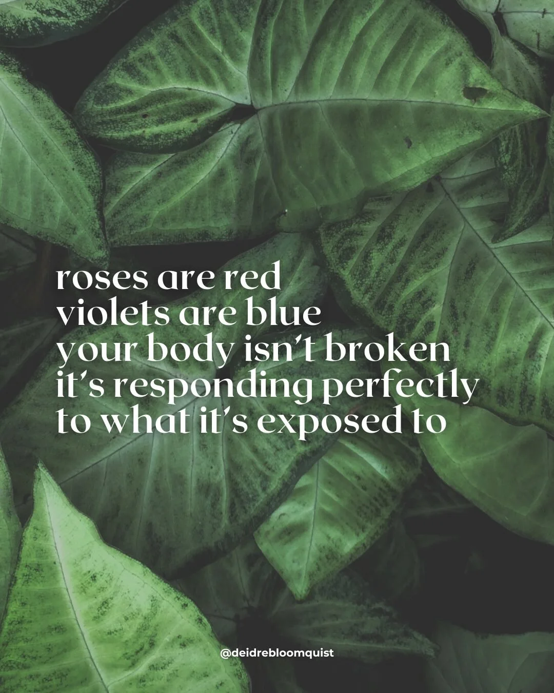 Tracked your cycle. Ignored your toxins. Happy Valentine&rsquo;s Day💀💘