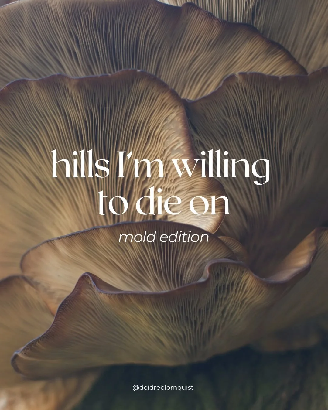 Most mold advice is fear dressed as &ldquo;education&rdquo;

If you want real nuance, meet me in the comments 👇🏼💬