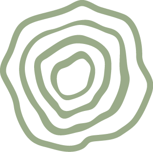 tree ring icon