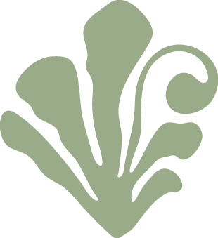 fern icon