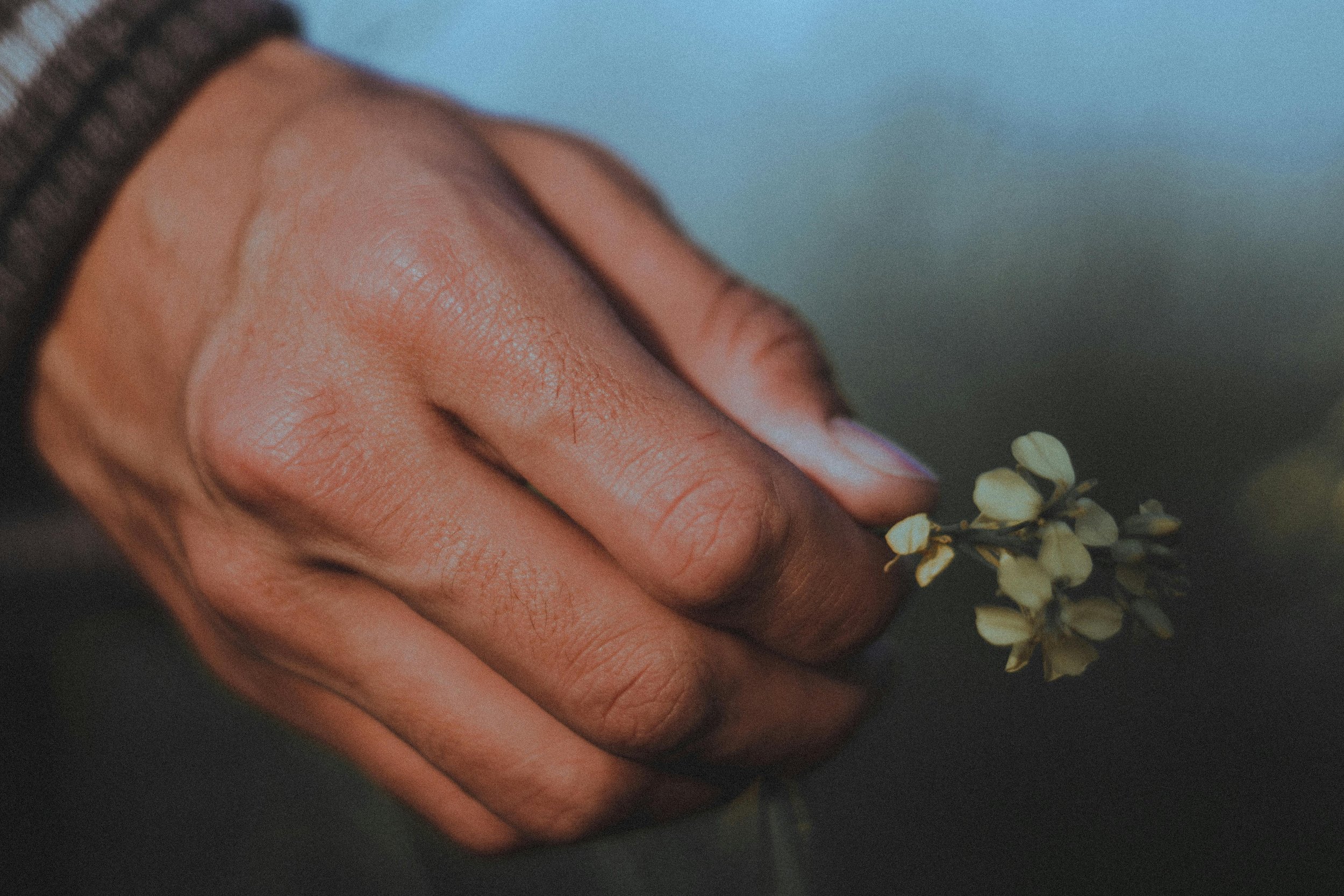 close up of man holding a small plant