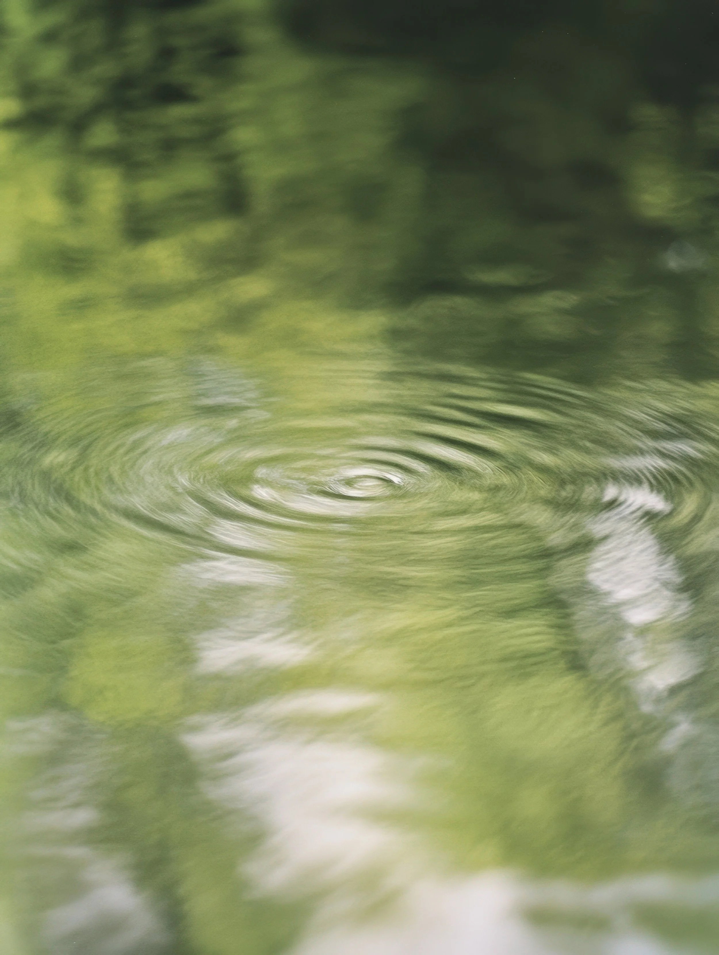 close up water drop in a small body of water