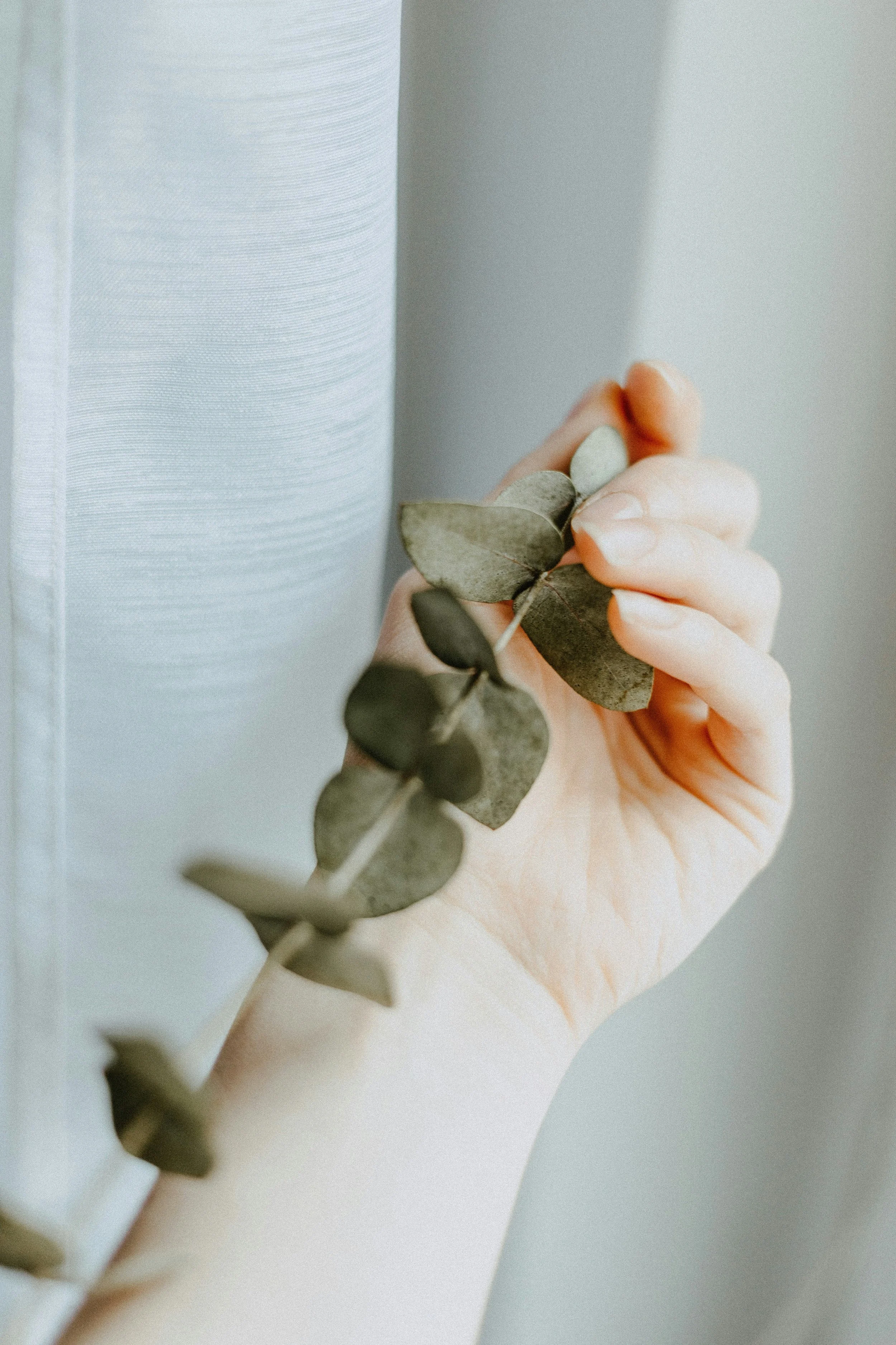close up in soft light woman holding a green plant