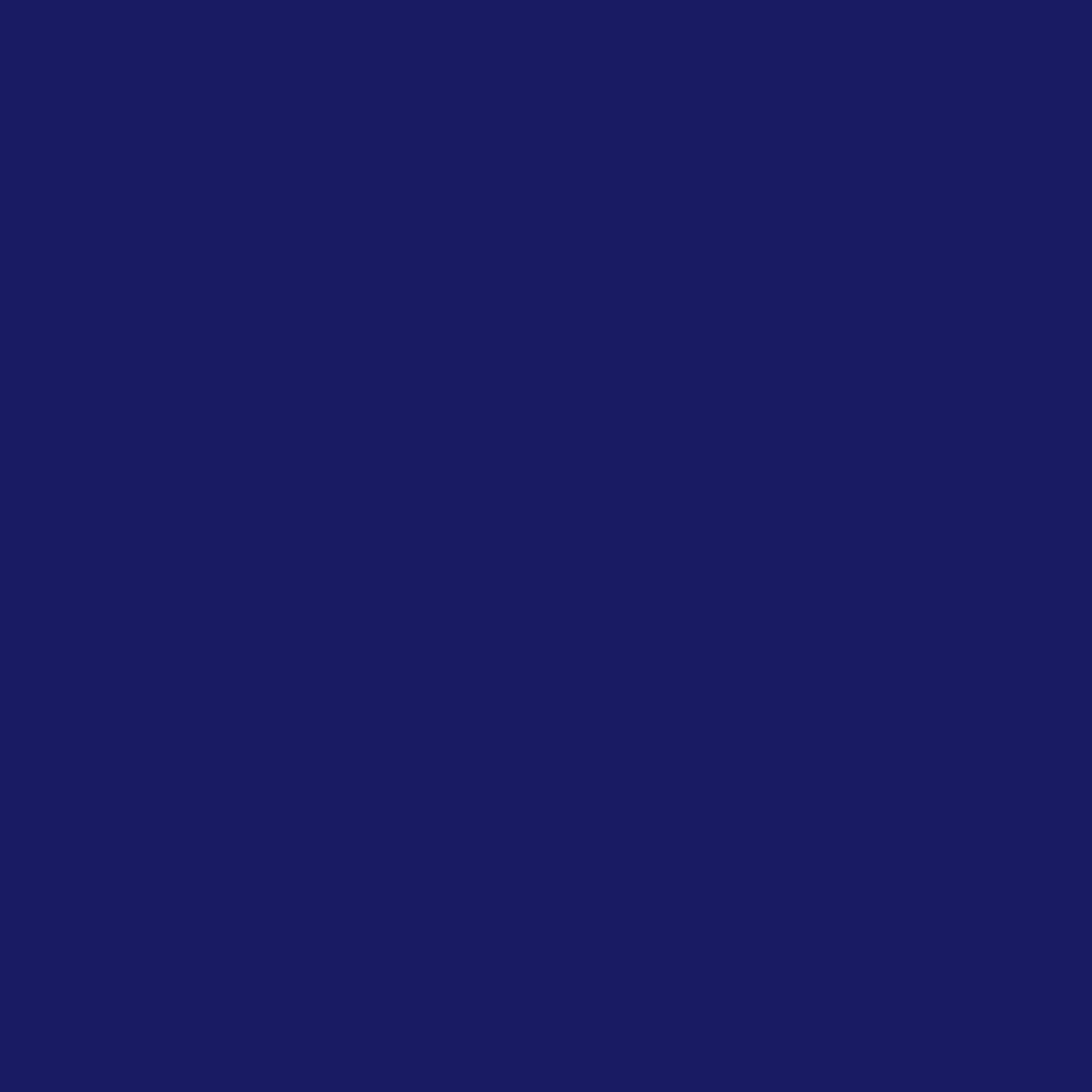 Rosecut Advisors_Colors_NAVY.jpg