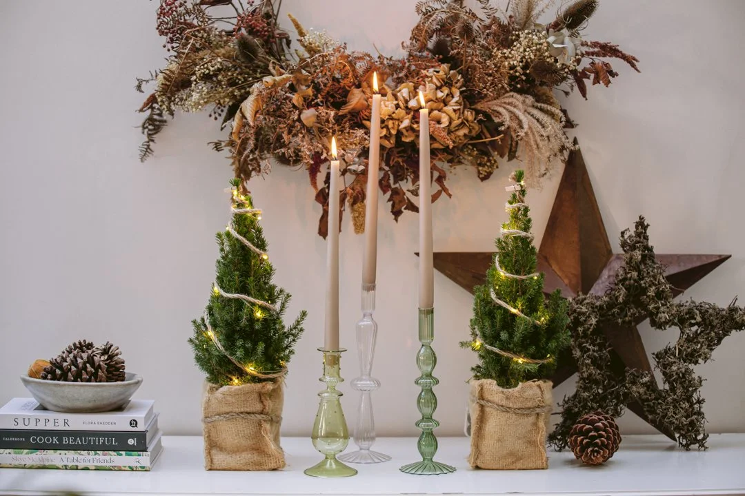 Mini Christmas Tree with lights