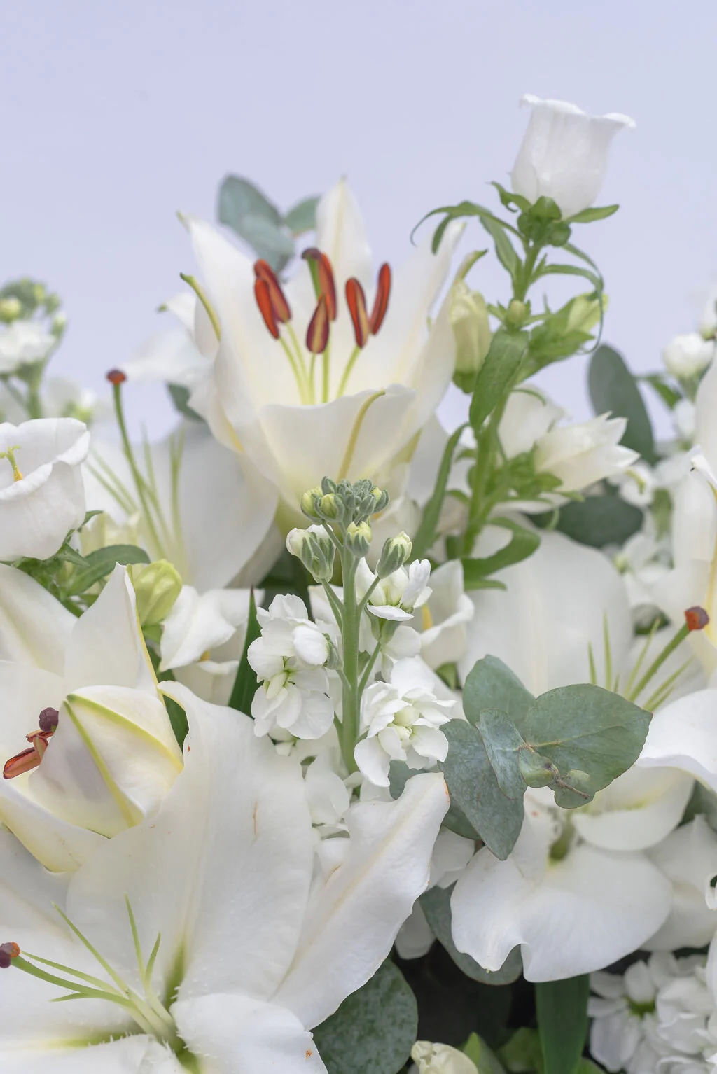 Bramble & Willow flower delivery in Wandsworth, London and UK. We deliver bouquets, corporate flowers, subscription flowers and plants. Flower Workshops. Wedding and event flowers.