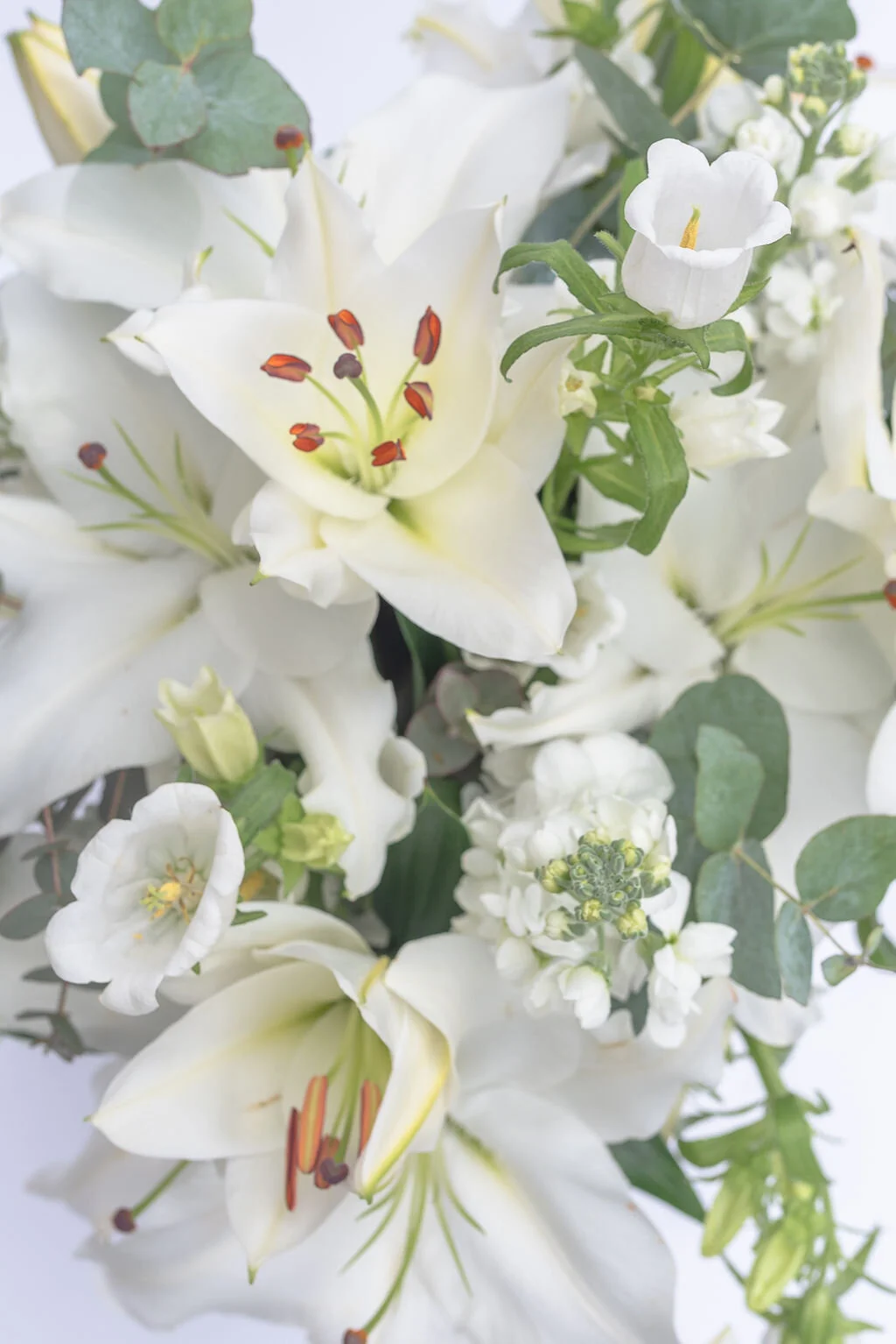 Bramble & Willow flower delivery in Wandsworth, London and UK. We deliver bouquets, corporate flowers, subscription flowers and plants. Flower Workshops. Wedding and event flowers.