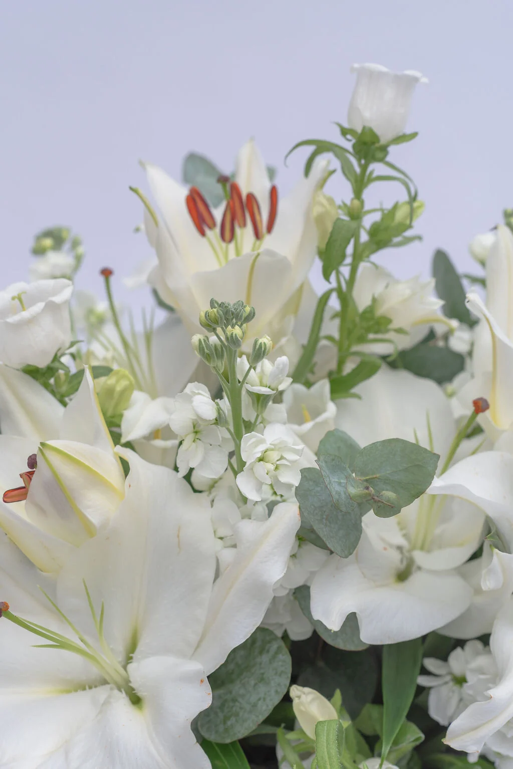 Bramble & Willow flower delivery in Wandsworth, London and UK. We deliver bouquets, corporate flowers, subscription flowers and plants. Flower Workshops. Wedding and event flowers.