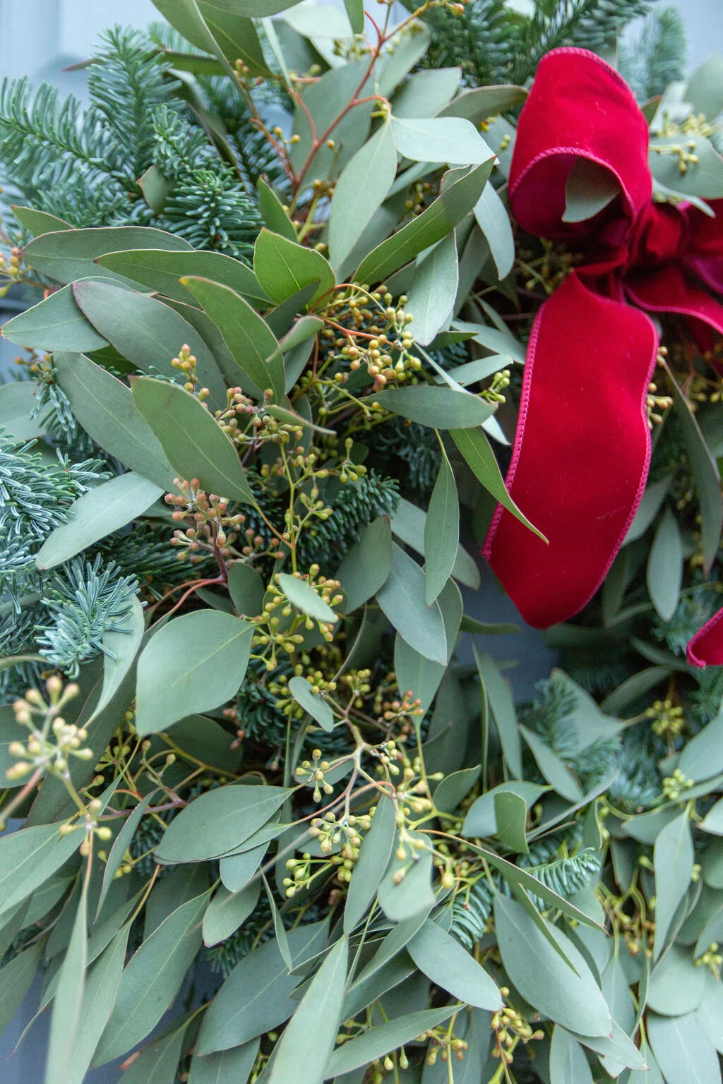 Berried Populous Christmas Wreath