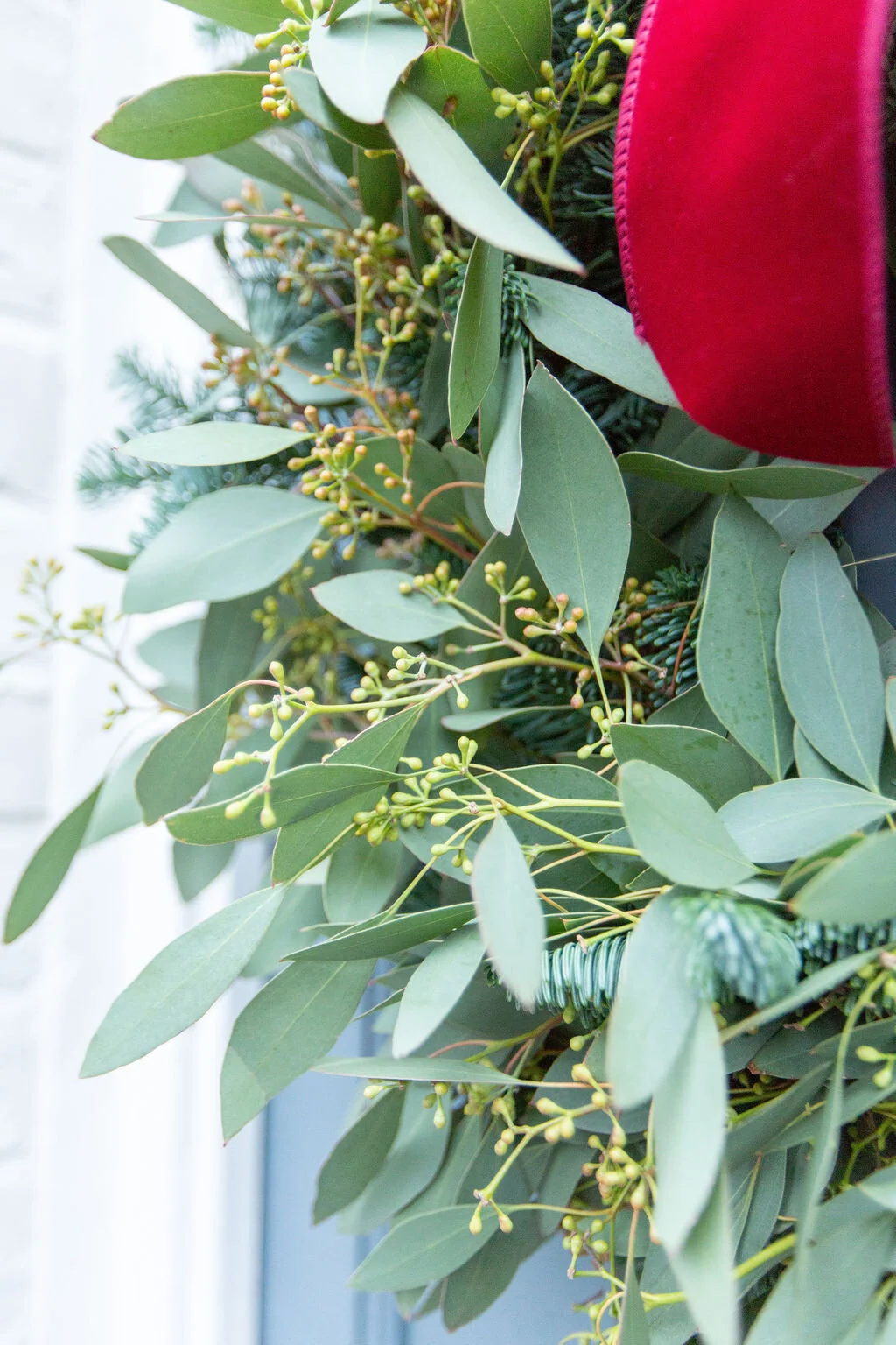 Berried Populous Christmas Wreath