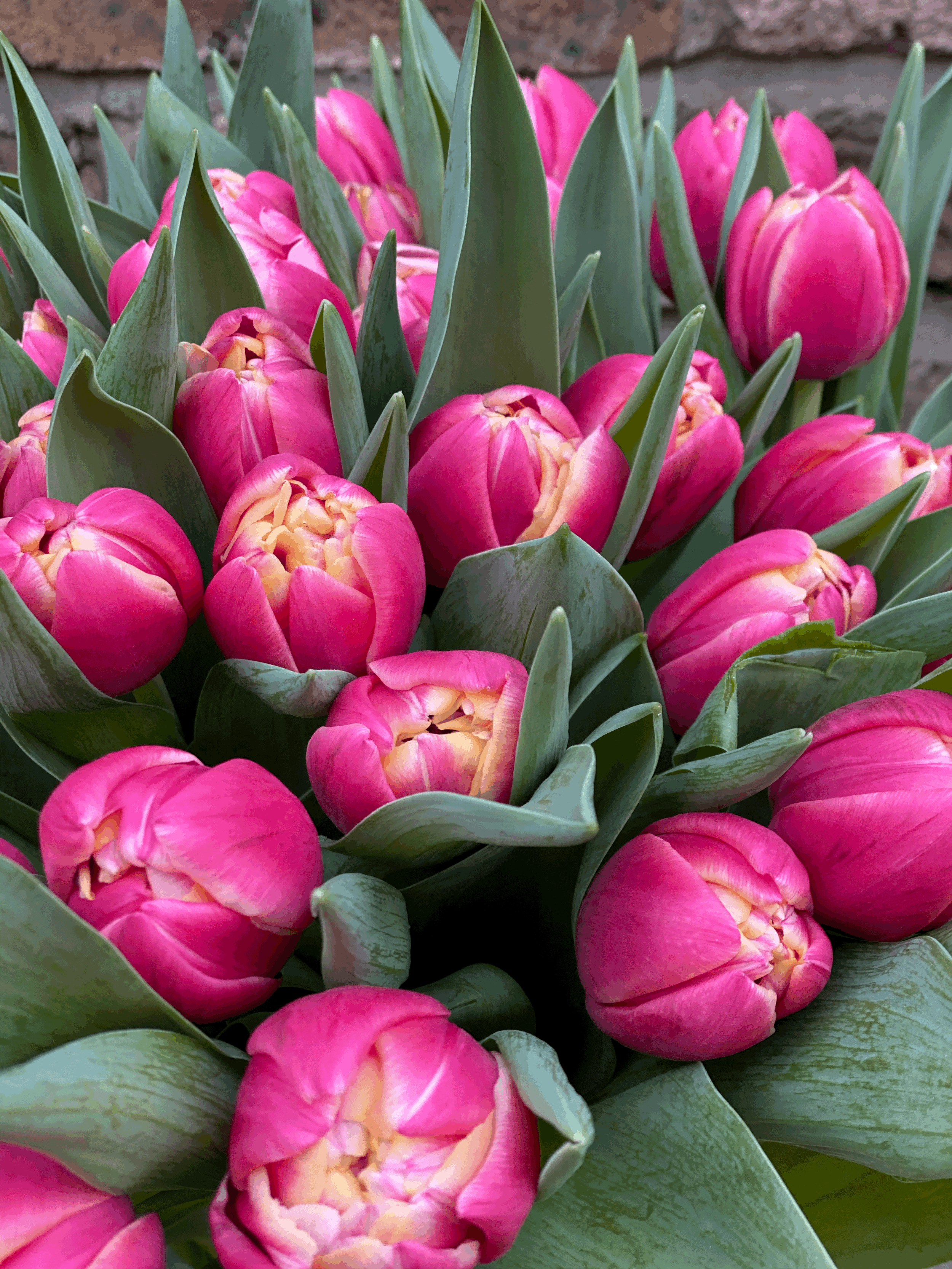 Simply Tulips - Mother's Day Flowers delivered in London and West Sussex