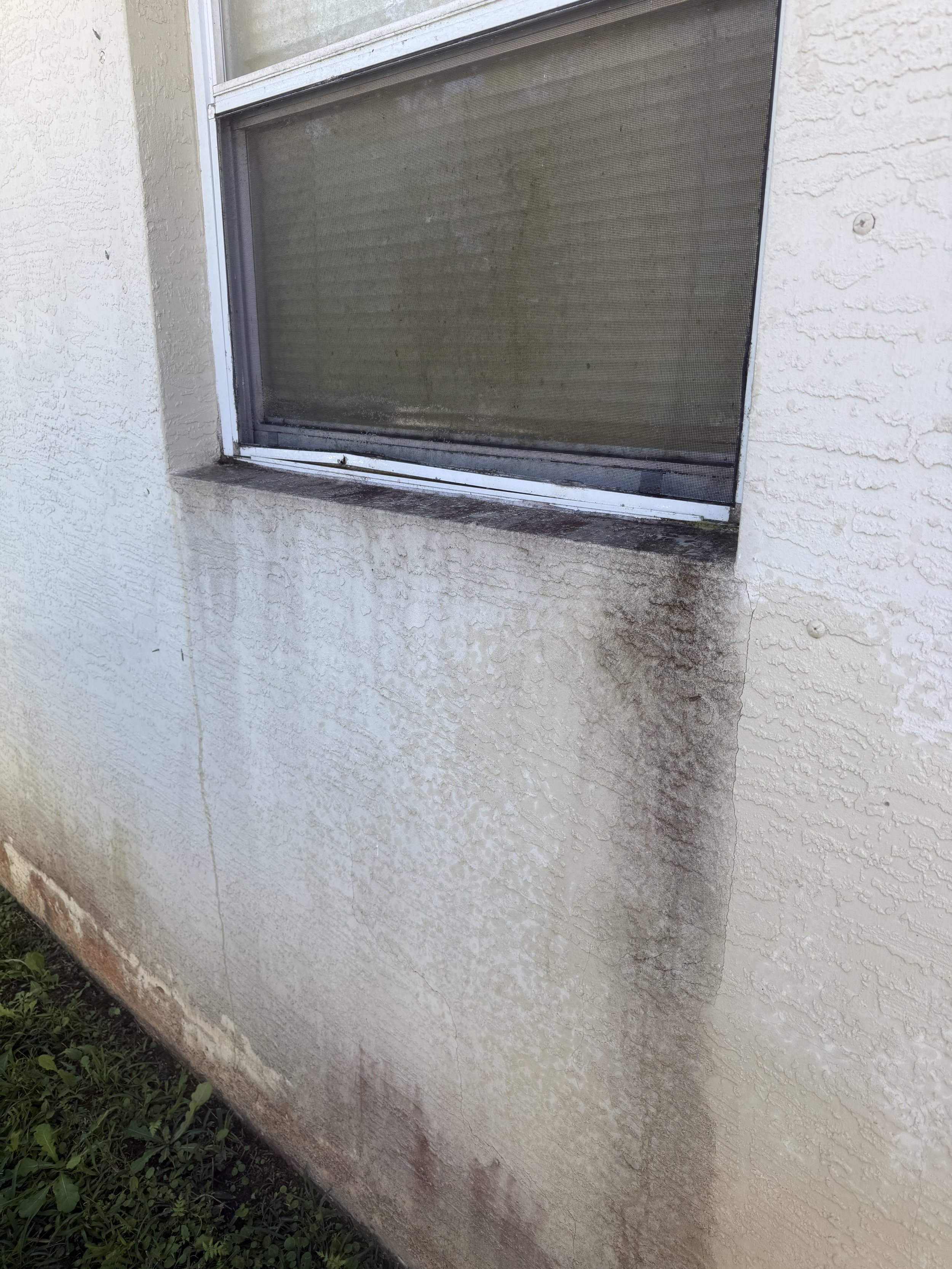 Pressure Washing Before Painting in Florida: Why It’s Critical for a Long-Lasting Exterior Paint Job