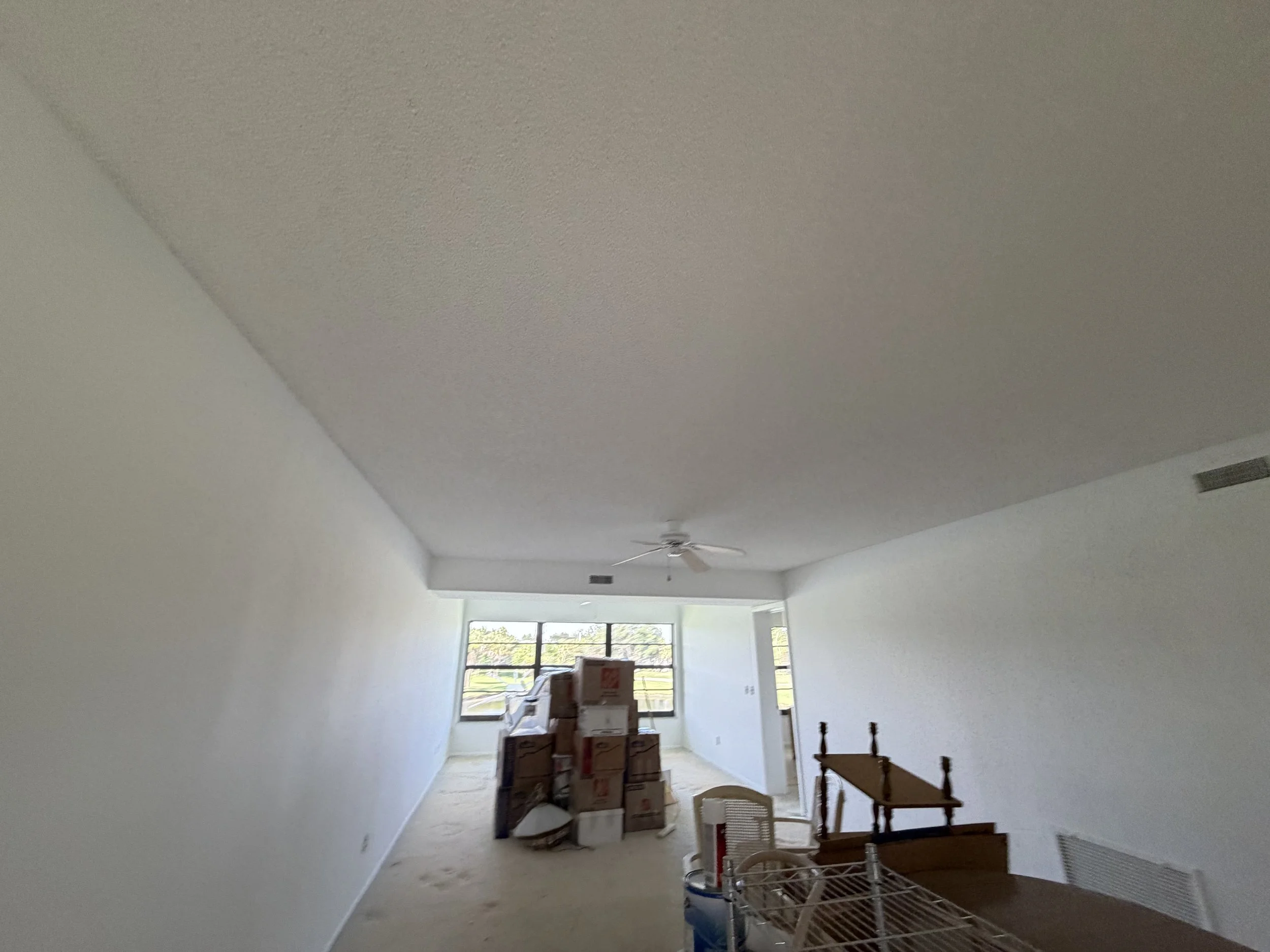 Mildew, Algae, Mold including Nicotine Stained Condo Restoration and Painting 