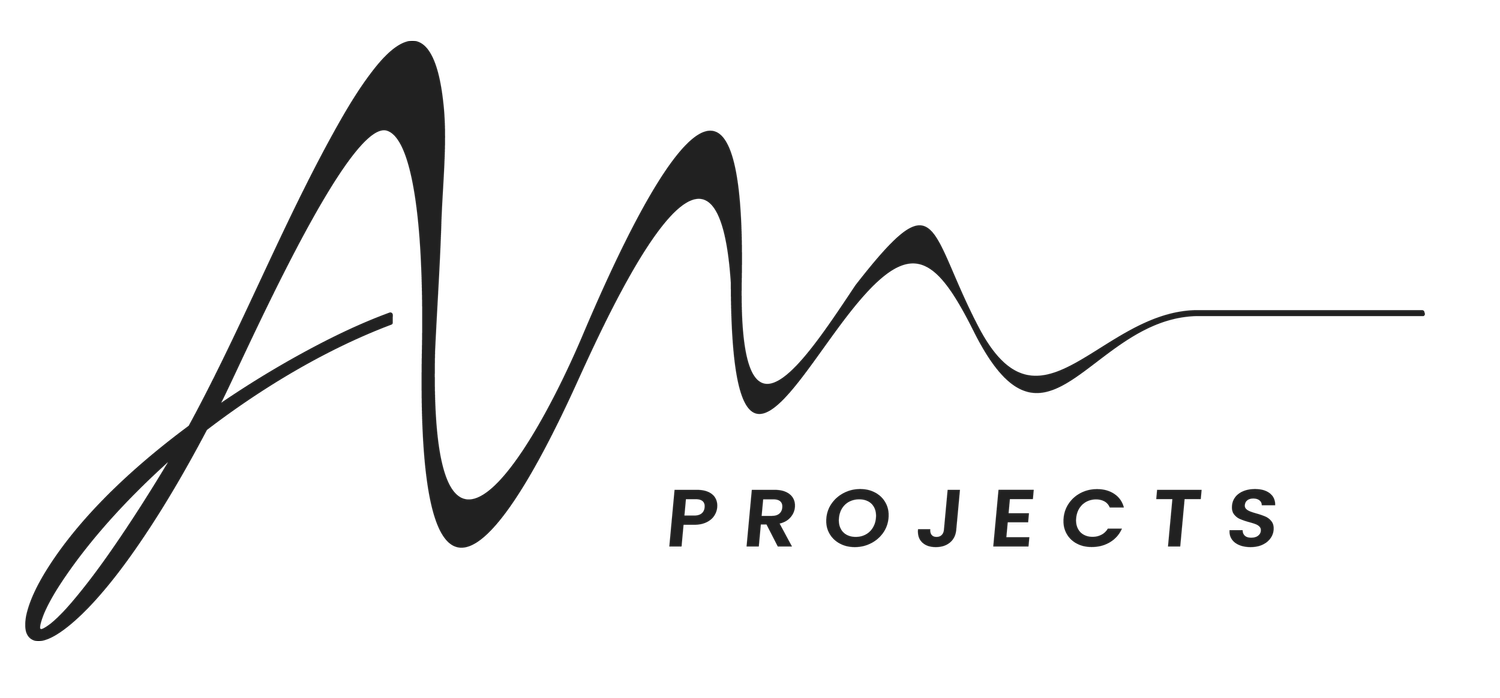 AM PROJECTS