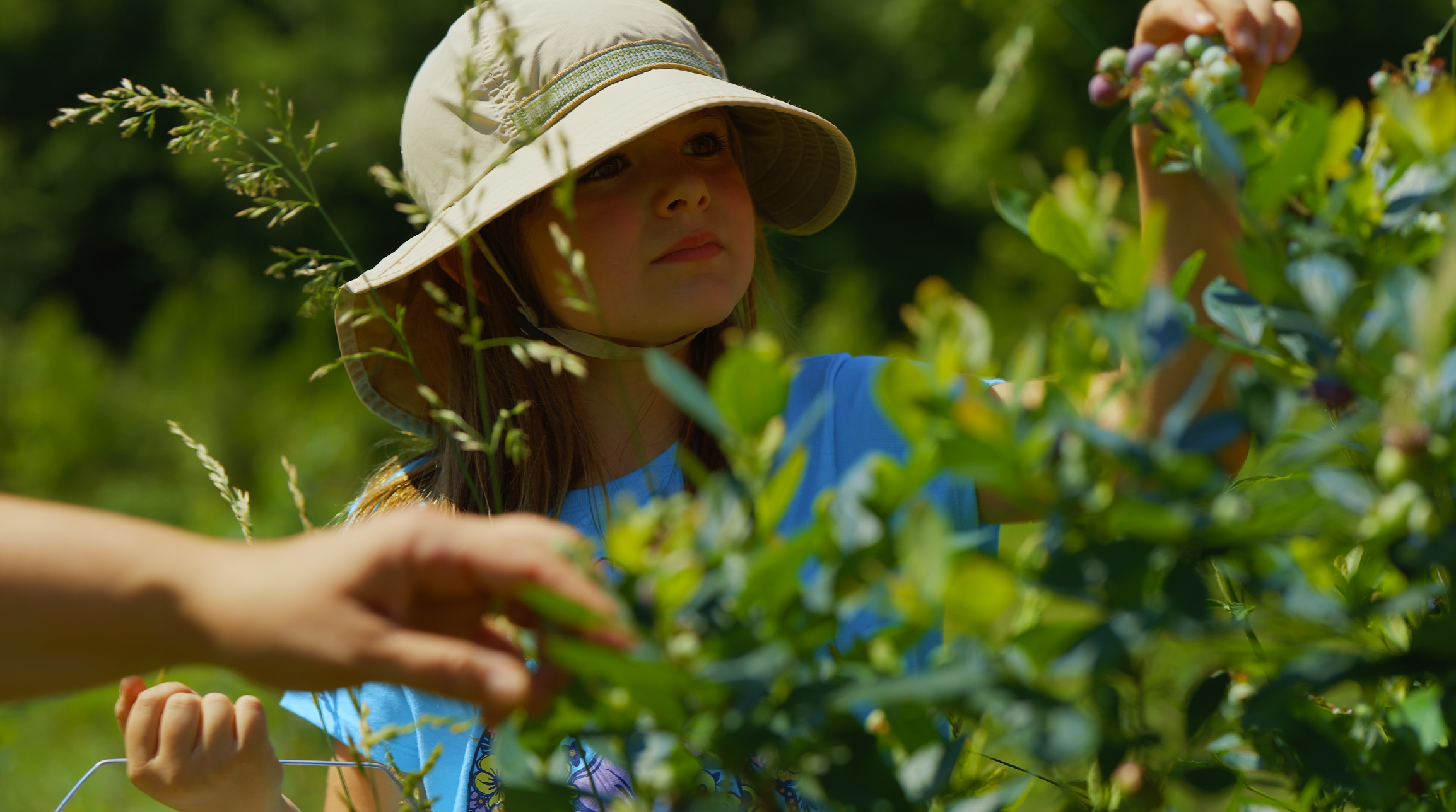 Screenshot 2026-03-09 at 1.47.47 PM.png