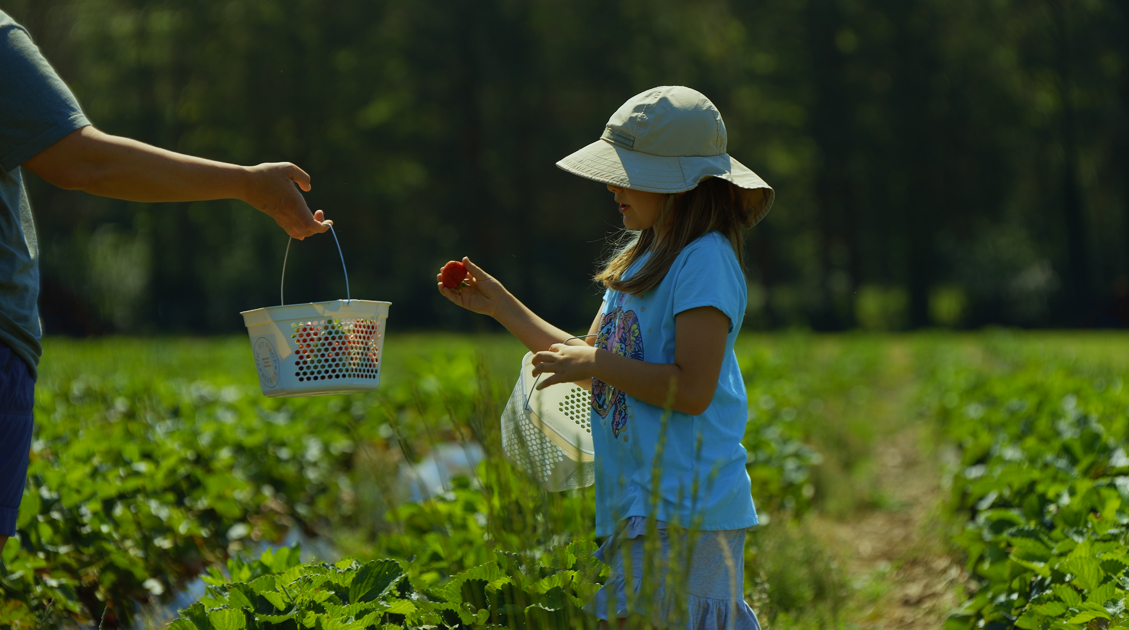 Screenshot 2026-03-09 at 1.49.06 PM.png