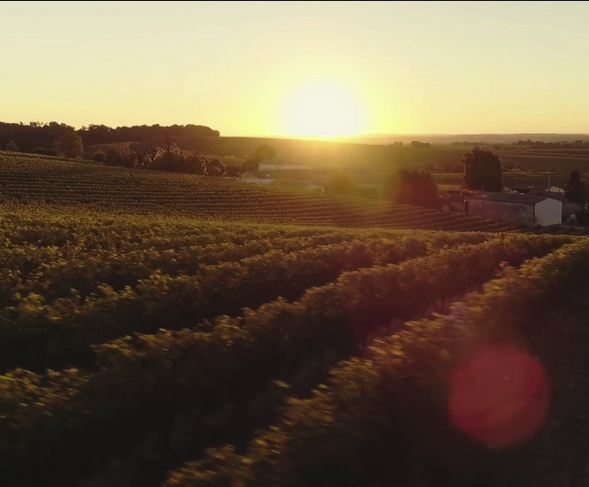 drone services charlotte north carolina