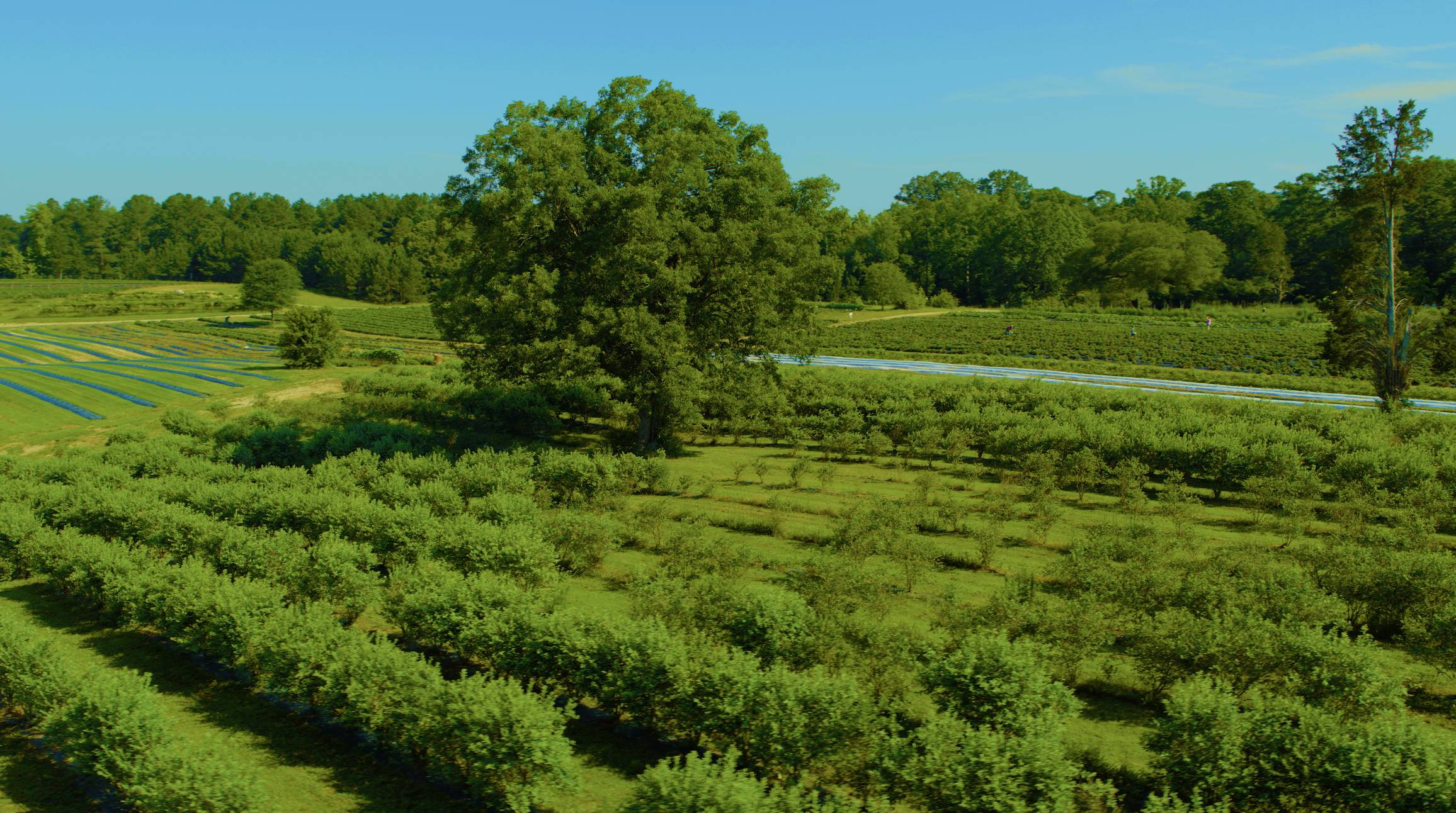 Screenshot 2026-03-09 at 1.48.15 PM.png