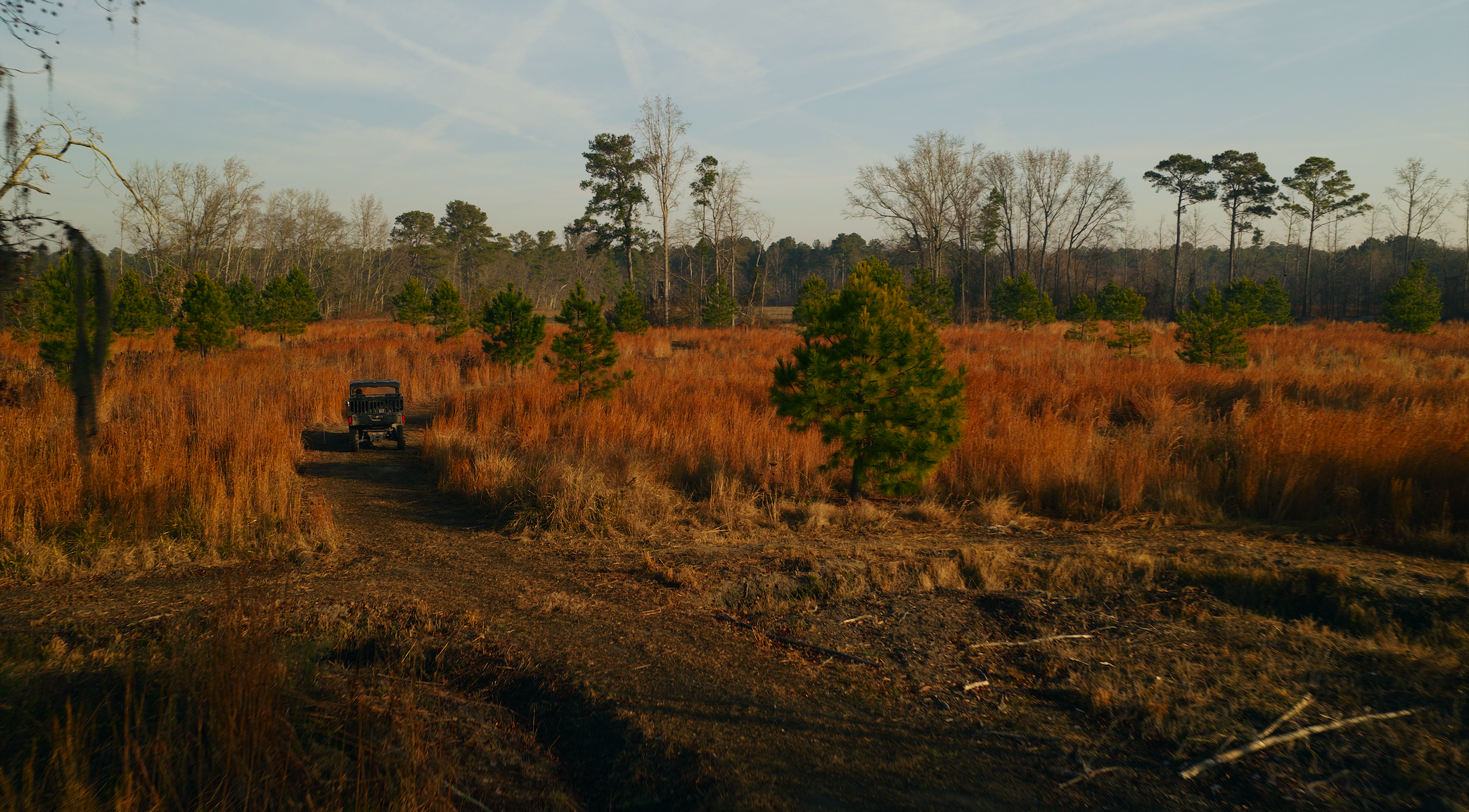 Screenshot 2026-03-09 at 10.30.27 AM.png