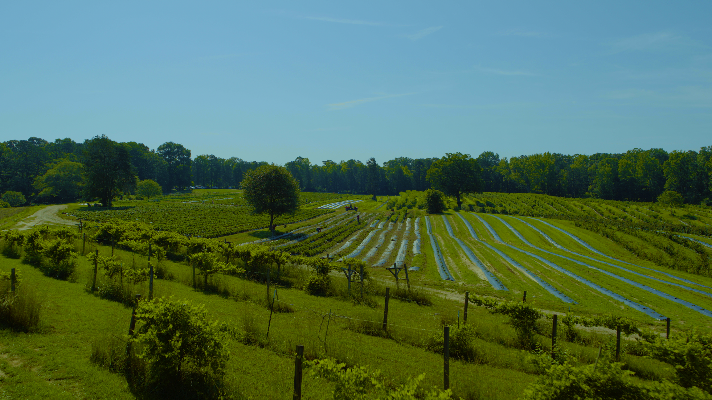 Screenshot 2026-03-09 at 1.48.39 PM.png