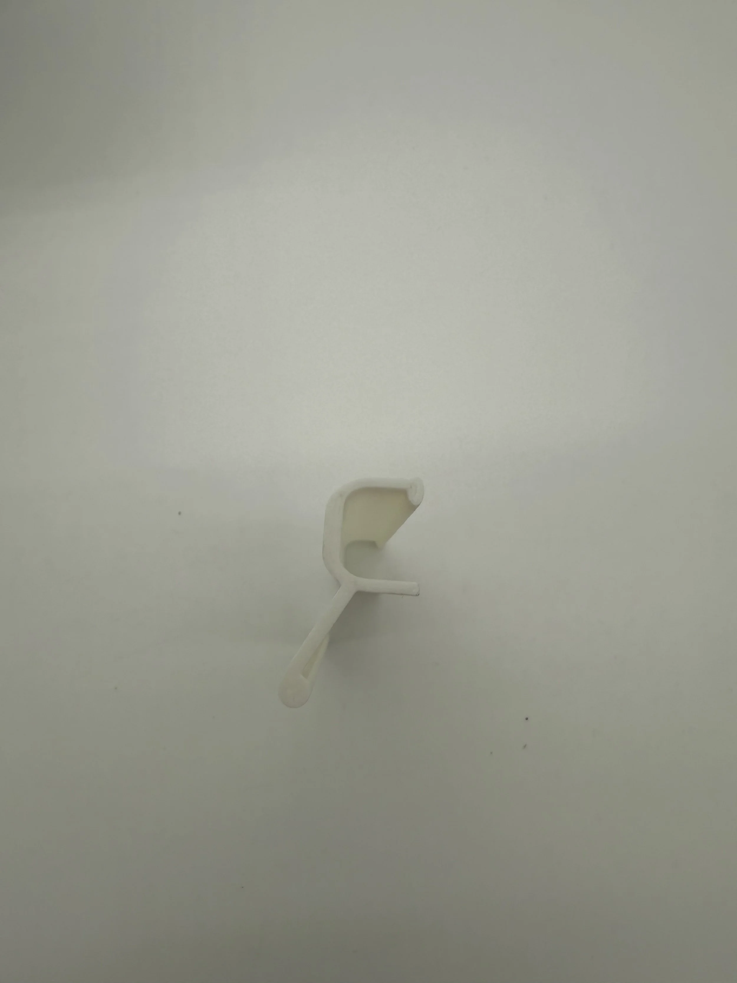 IMG_6489.jpeg
