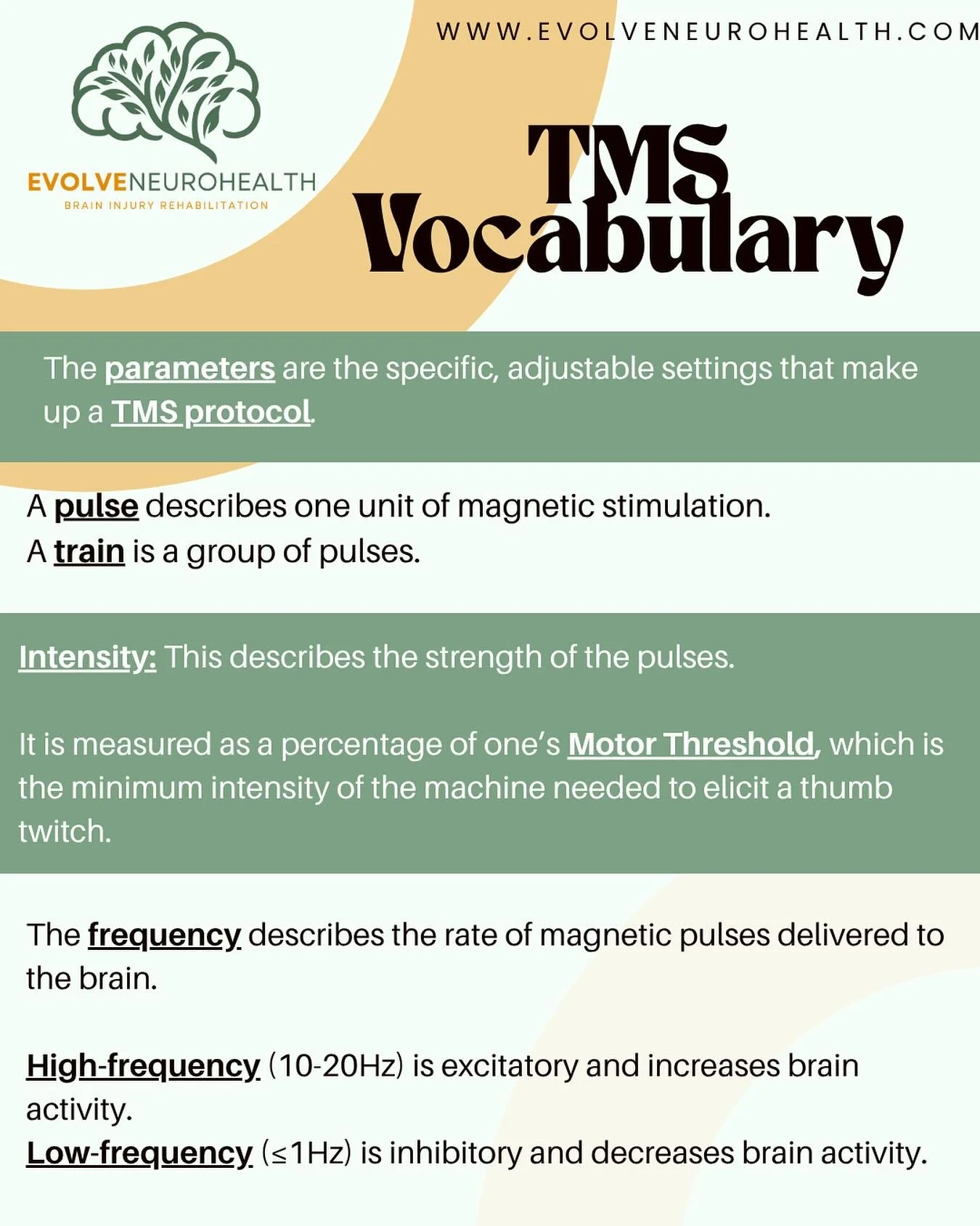 Swipe to learn some of the essential TMS Vocabulary to help you better understand your treatment! #tms #neuromodulation