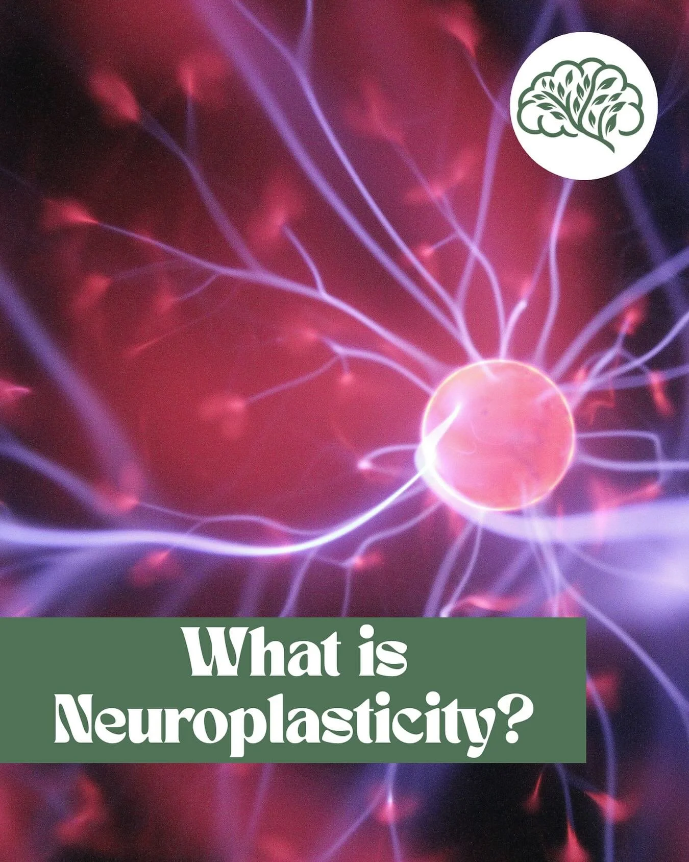 Neuroplasticity is the ability of the brain to rewire itself. It refers to the brain&rsquo;s ability to reorganize its structure, functions or connections in response to intrinsic or extrinsic stimuli.

TMS is built upon the principle of neuroplastic