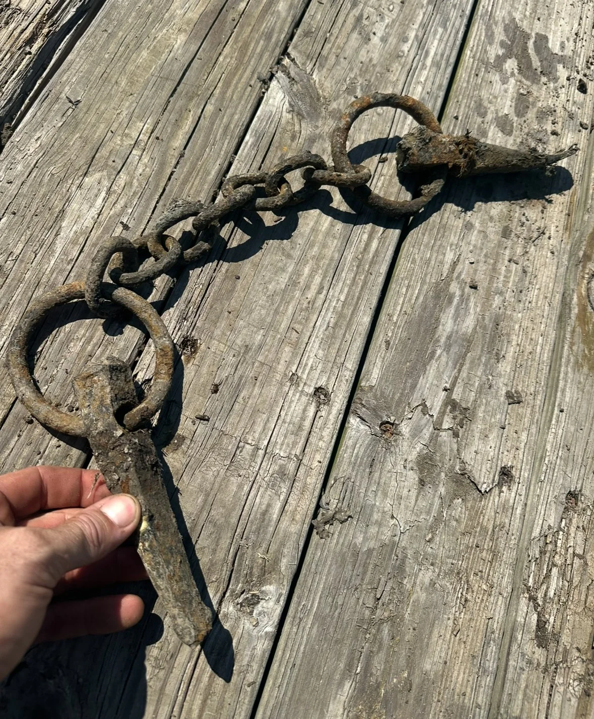 A rusty, old security chain with a large hook attached, resting on weathered wooden planks.