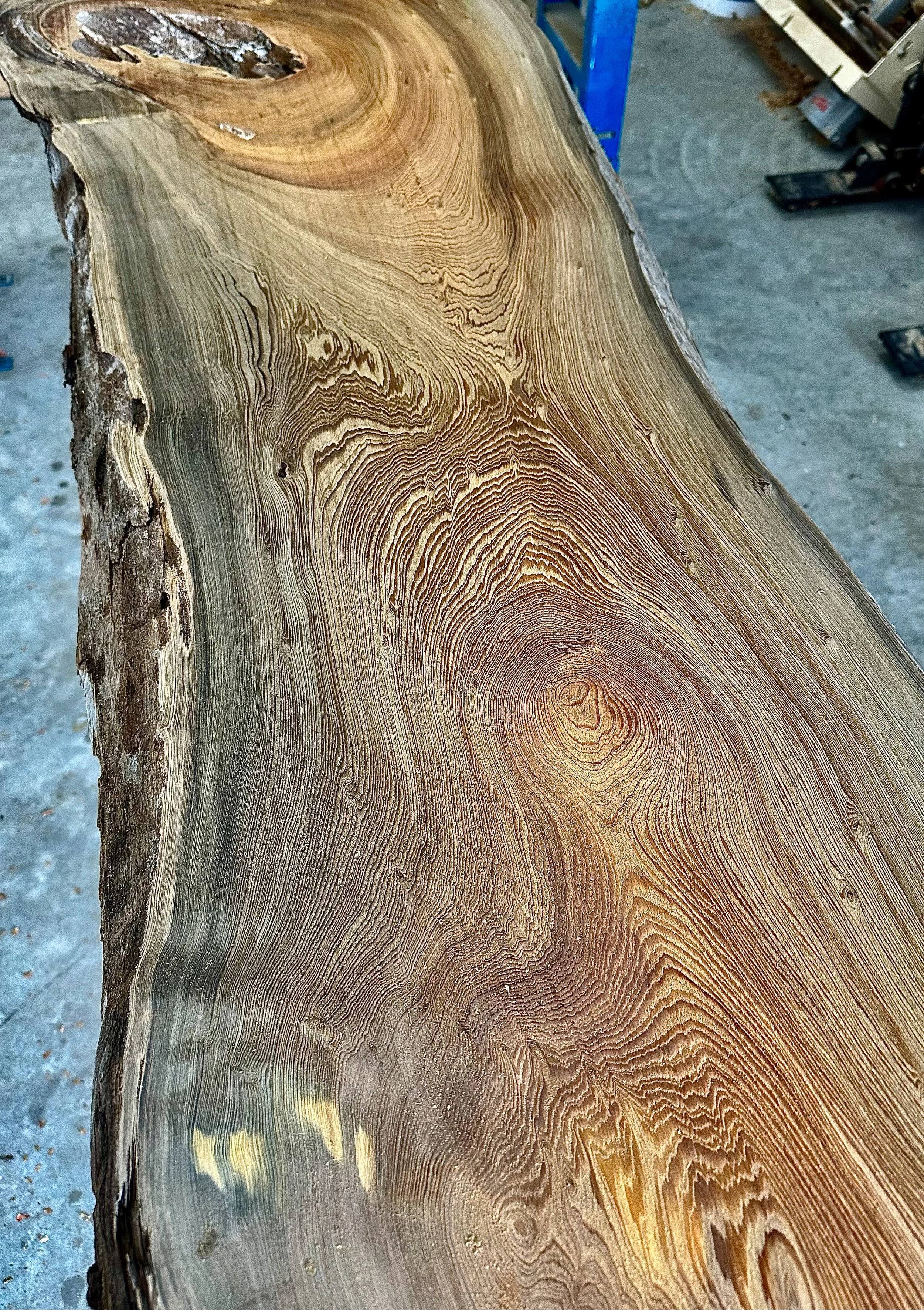 Close-up of a wooden surface showing detailed tree ring patterns and natural wood grain.