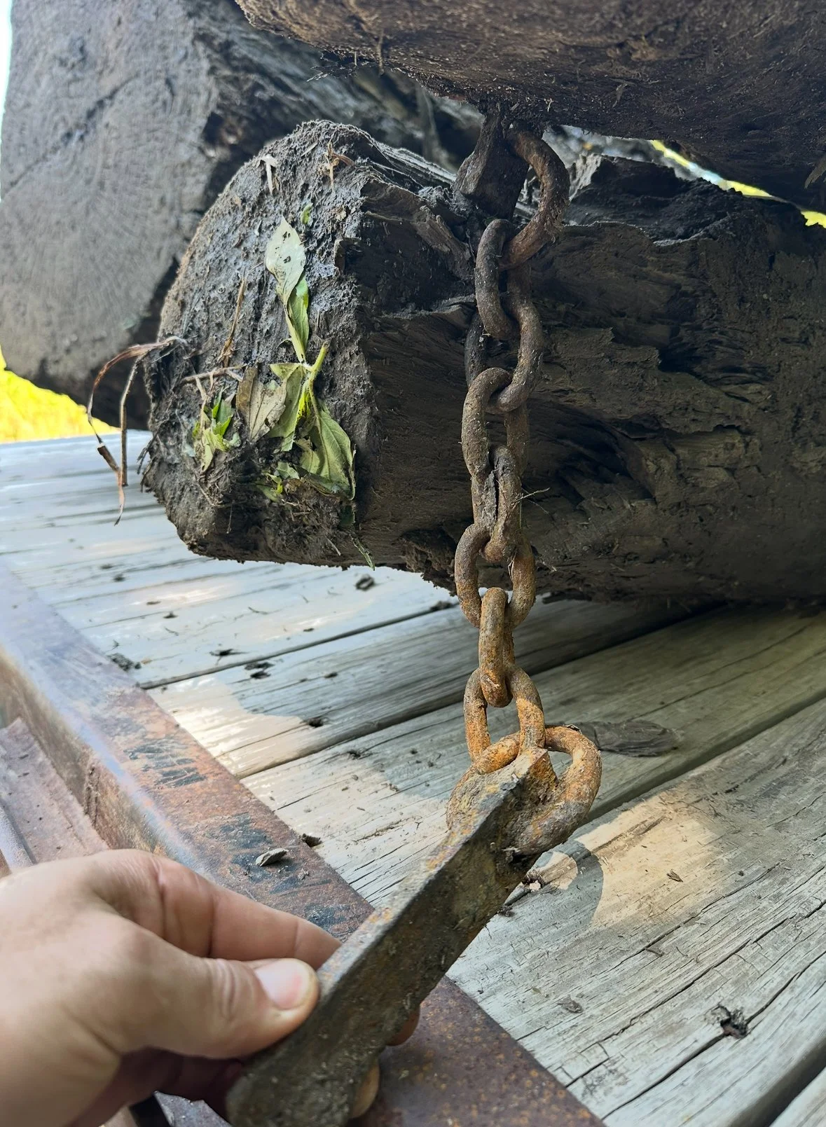 Close-up view of a rusty chain attached to the underside of a wooden boat, with a hand holding a metal bar or lift. The boat is elevated on a wooden platform, and some leaves are caught in the chain.