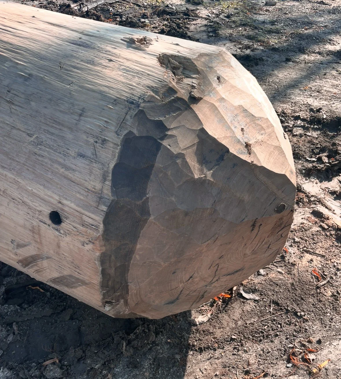Close-up of a large, weathered wooden log on dirt ground, showing bark and natural grain.
