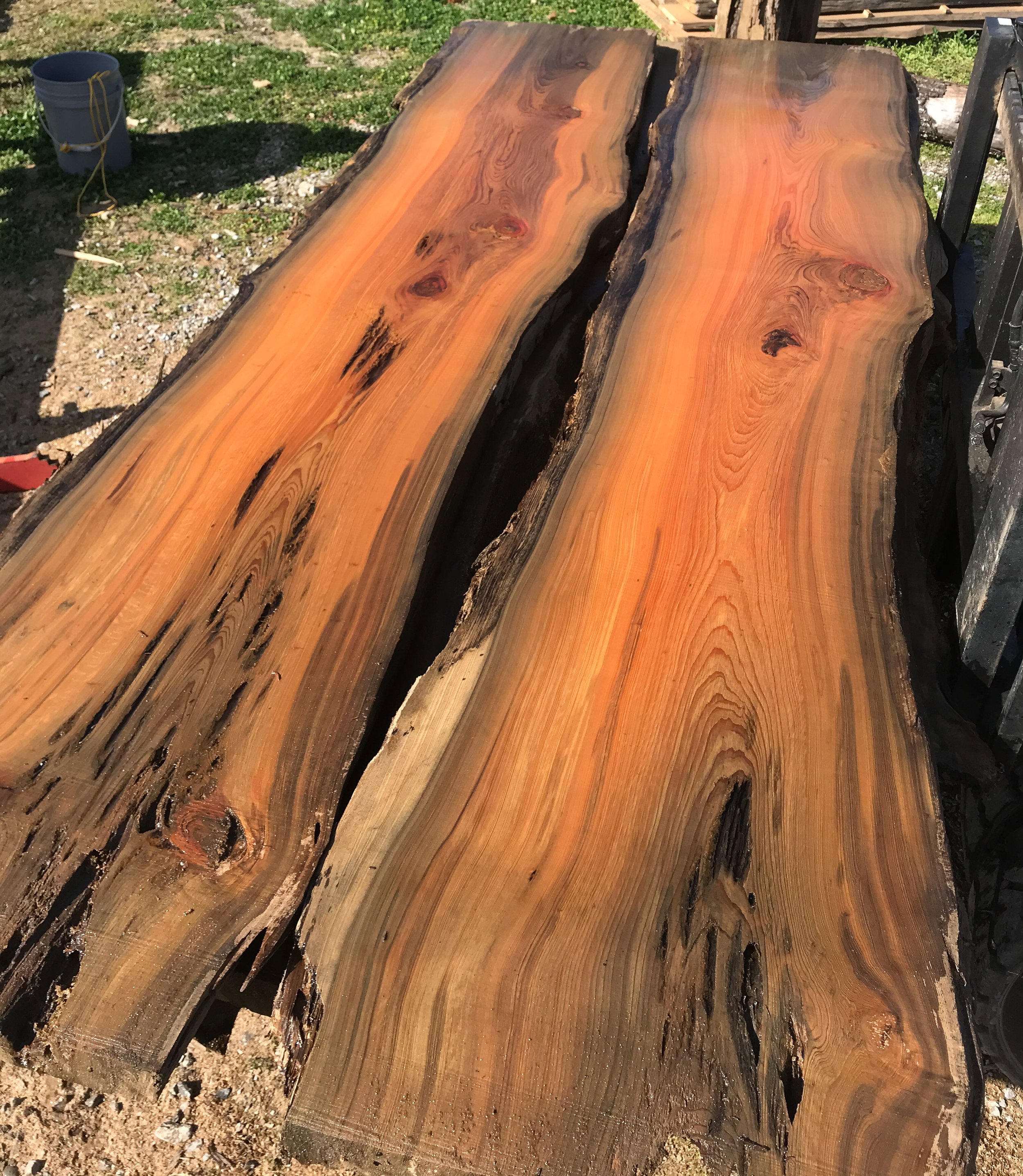 Two large, live edge wooden slabs with natural grain and color variation, placed outdoors on a work surface.