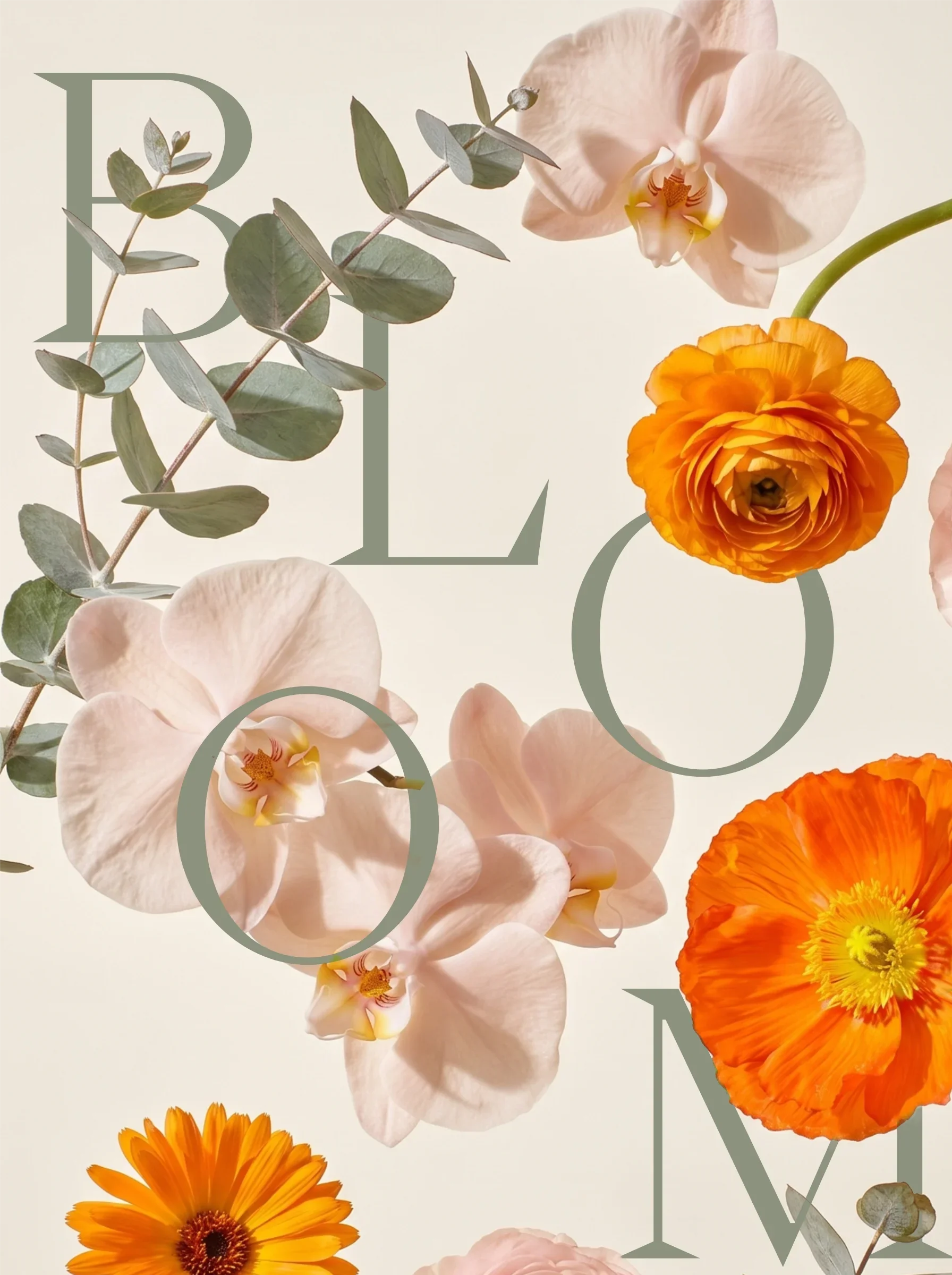 Flowers floating with the word, "Bloom" entwined.