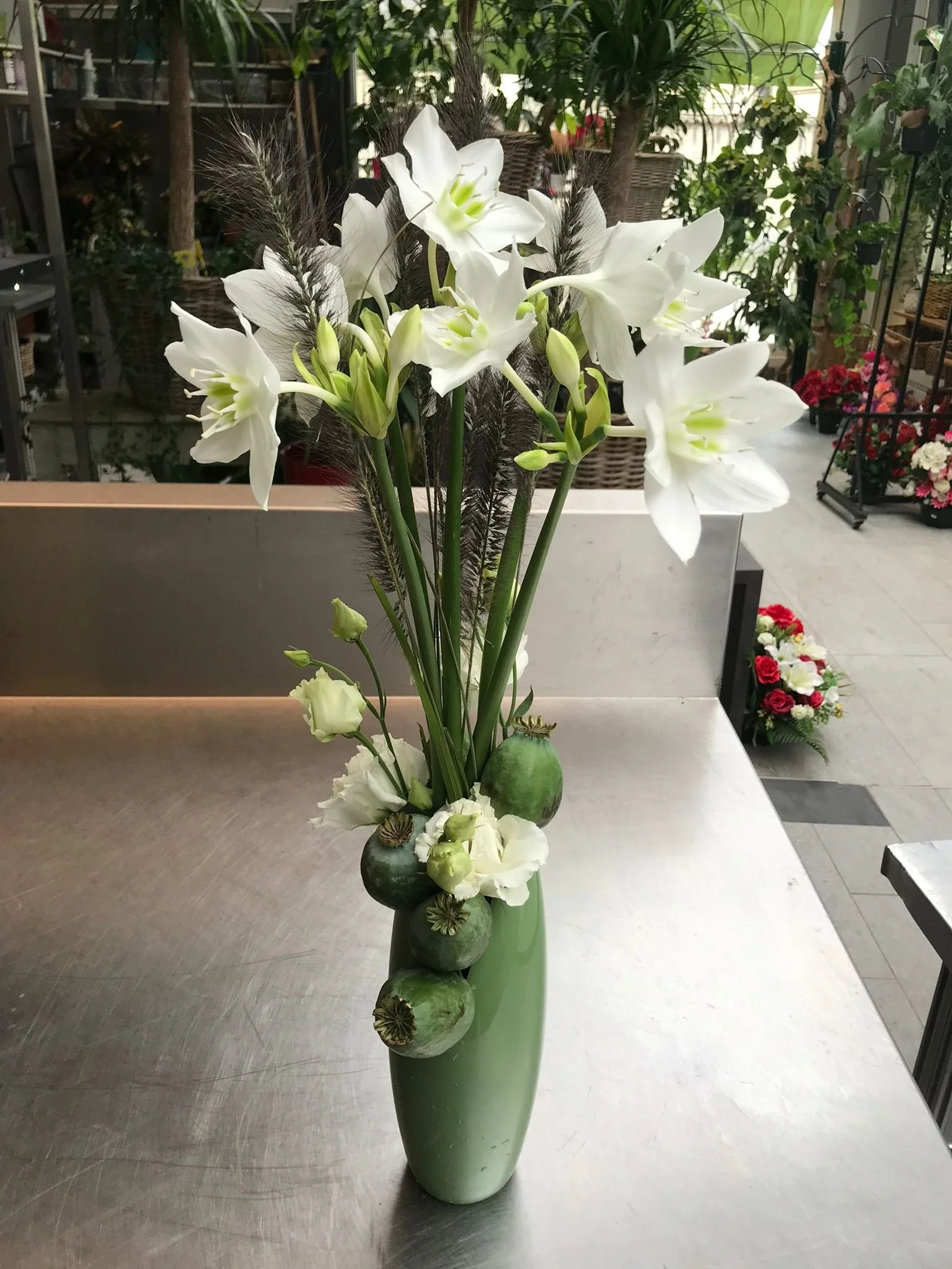 WhatsApp Image 2026-03-03 at 13.10.51.jpeg