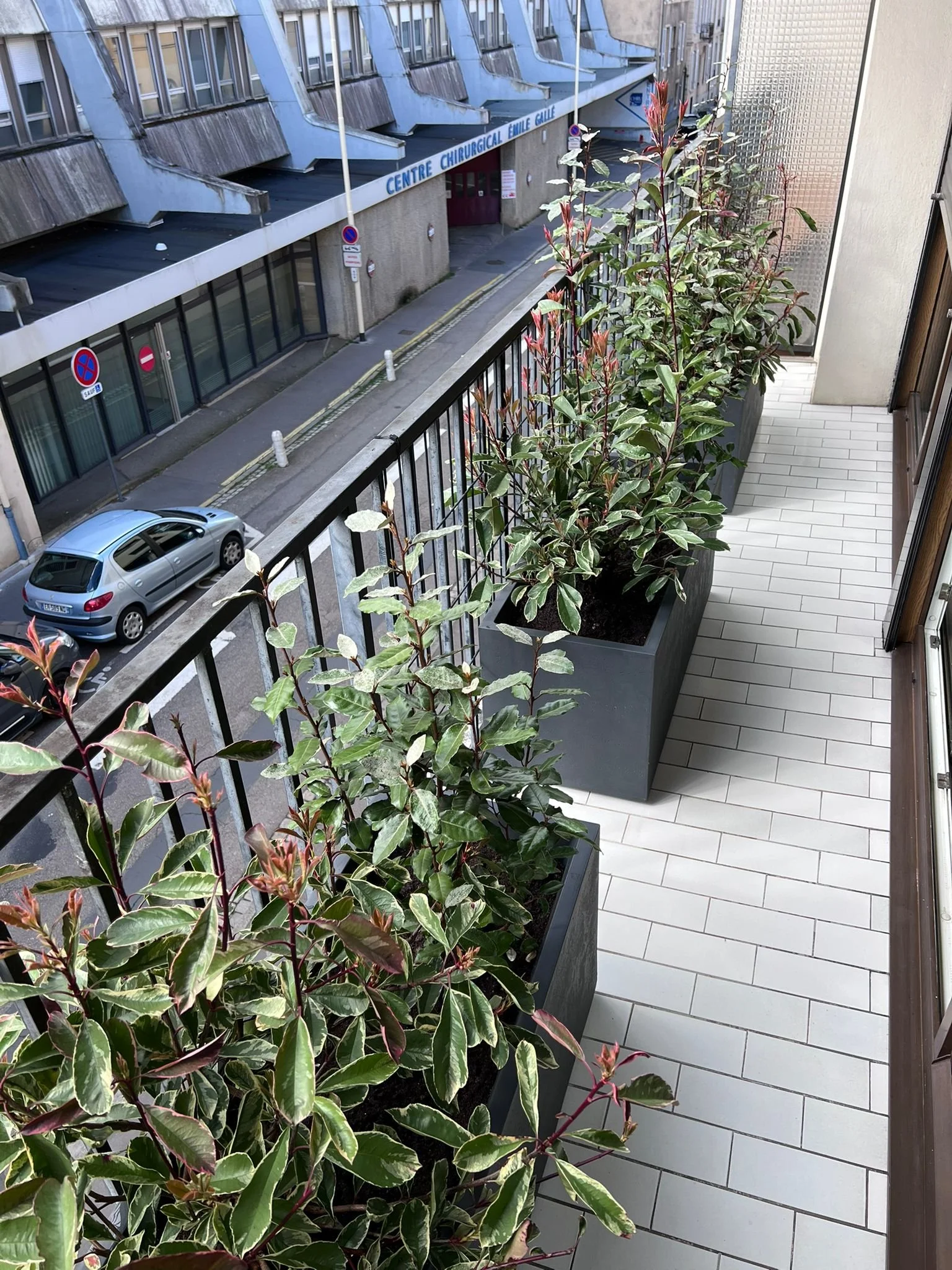 WhatsApp Image 2026-03-03 at 13.08.56 (3).jpeg