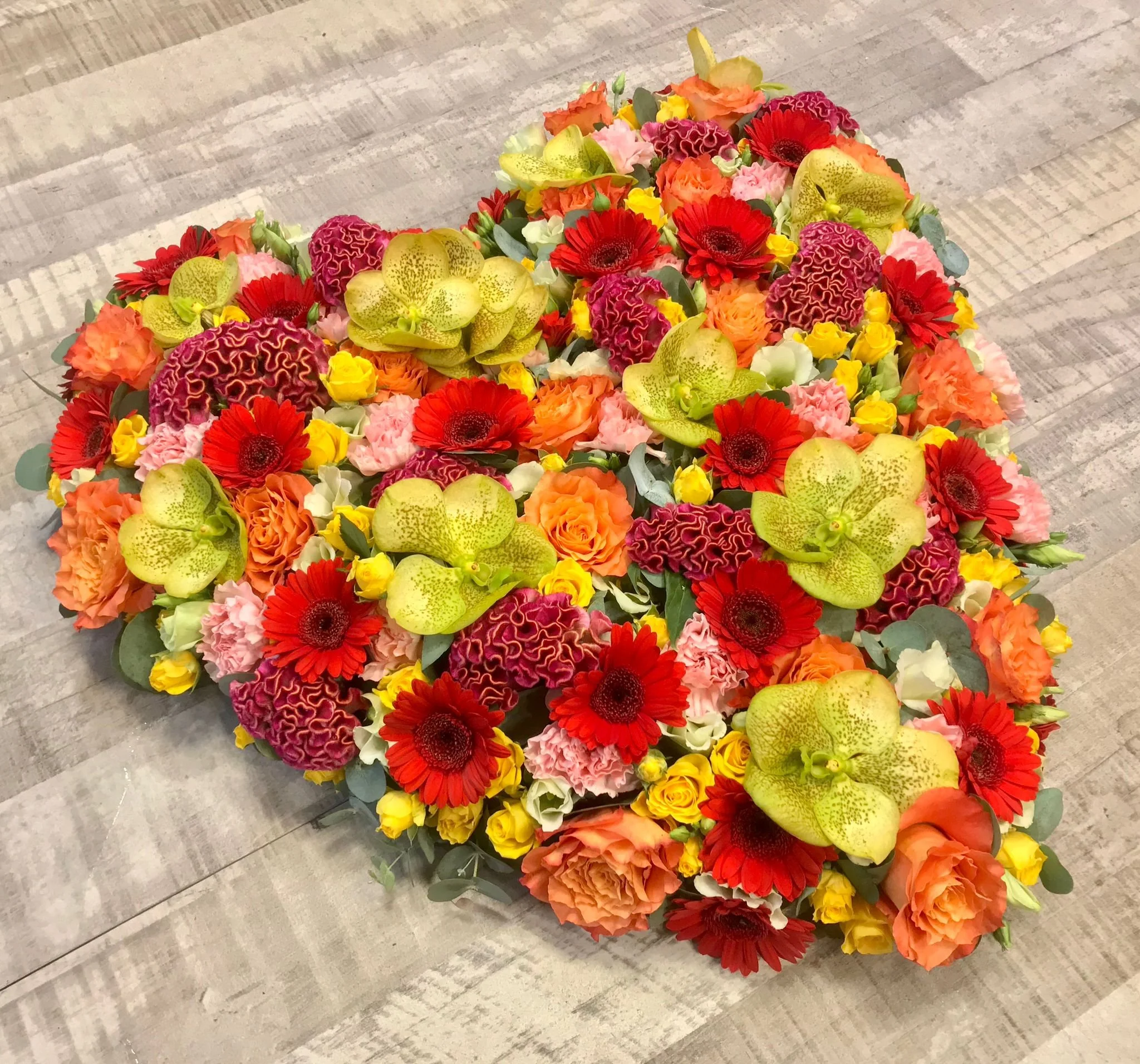 WhatsApp Image 2026-03-03 at 13.10.49.jpeg