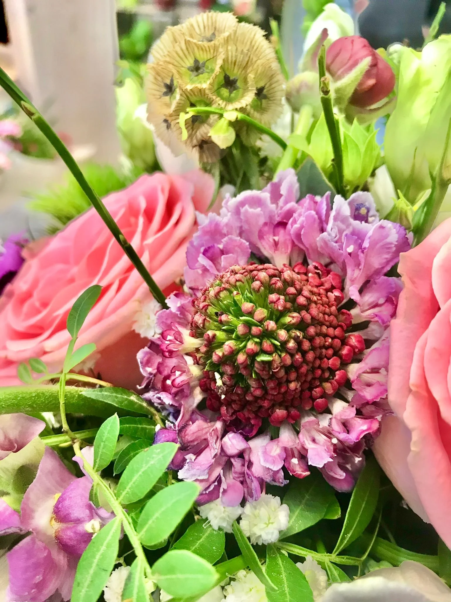 WhatsApp Image 2026-03-03 at 13.10.46 (1).jpeg