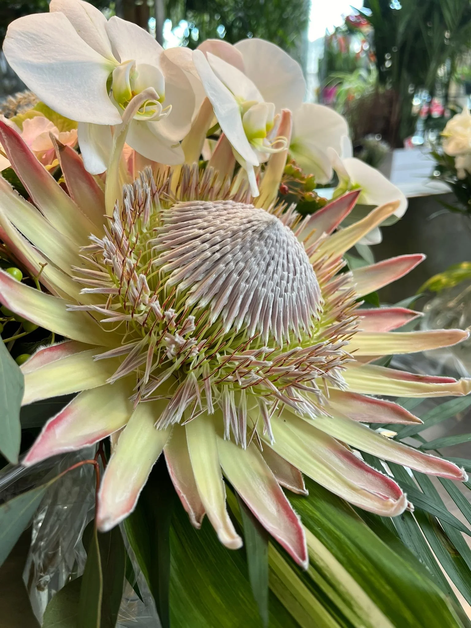 WhatsApp Image 2026-03-03 at 13.10.06.jpeg