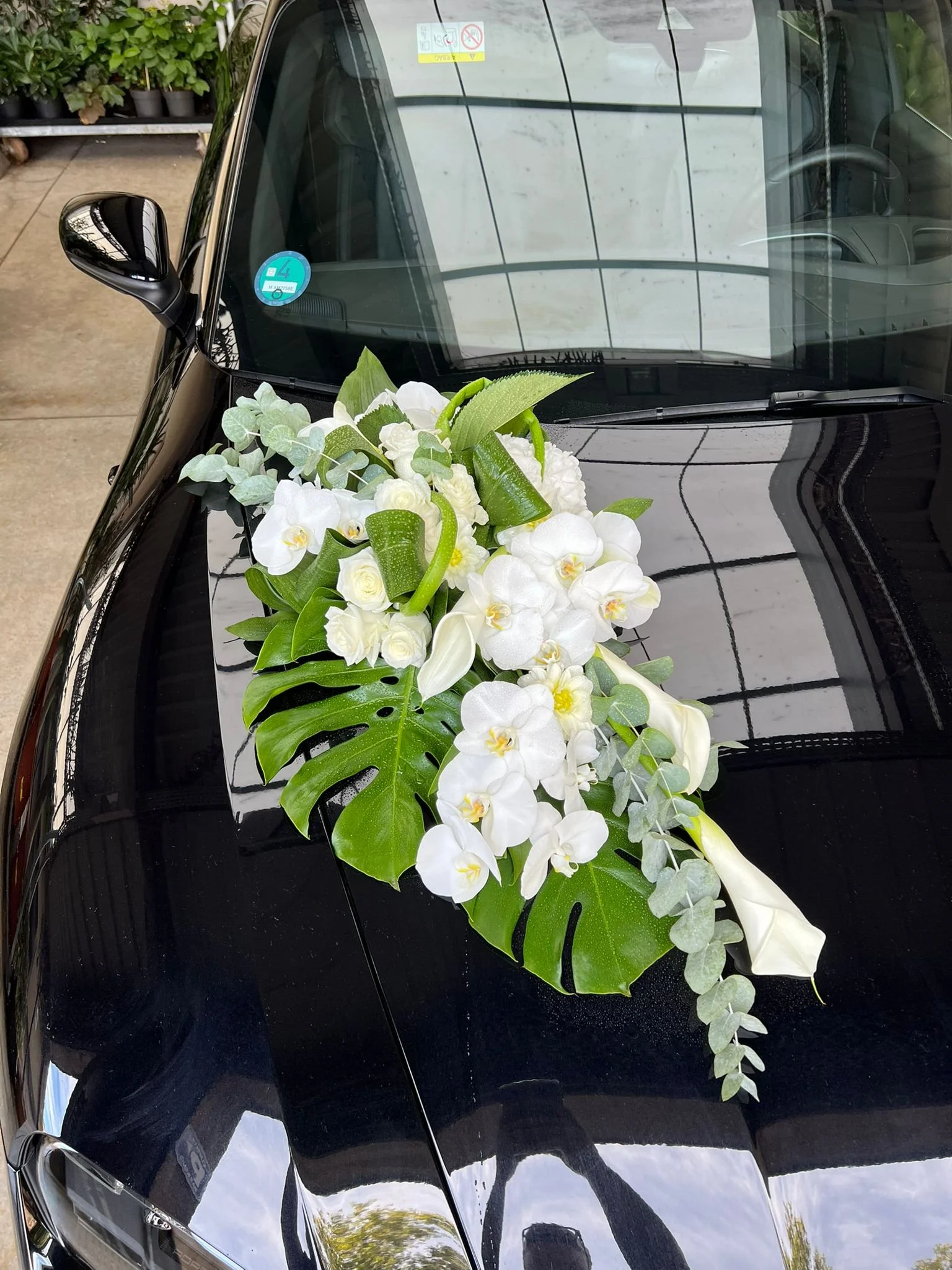 WhatsApp Image 2026-03-03 at 13.09.09 (1).jpeg