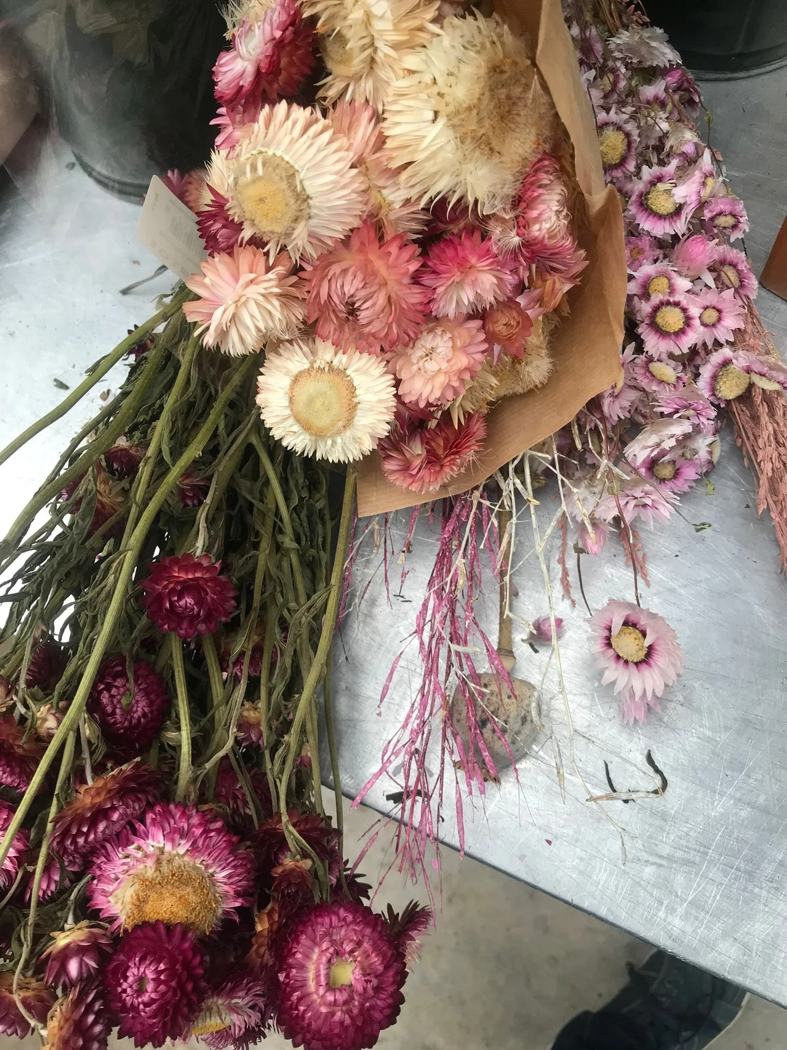 WhatsApp Image 2026-03-03 at 13.10.08 (5).jpeg