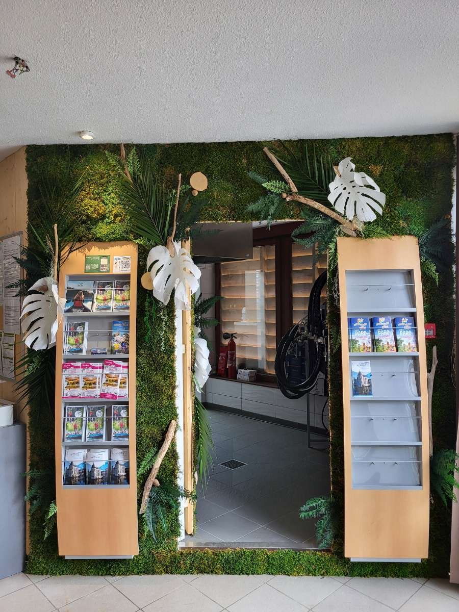 WhatsApp Image 2026-03-03 at 13.10.06 (1).jpeg