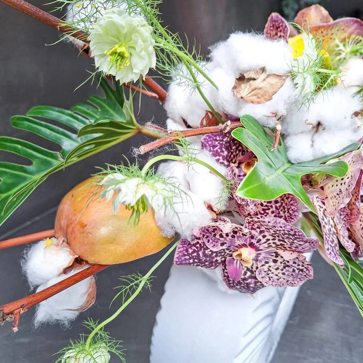 WhatsApp Image 2026-03-03 at 13.05.46.jpeg