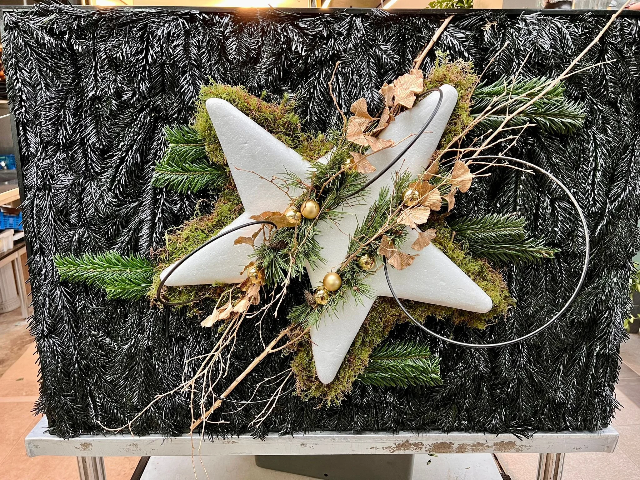 WhatsApp Image 2026-03-03 at 13.06.44.jpeg