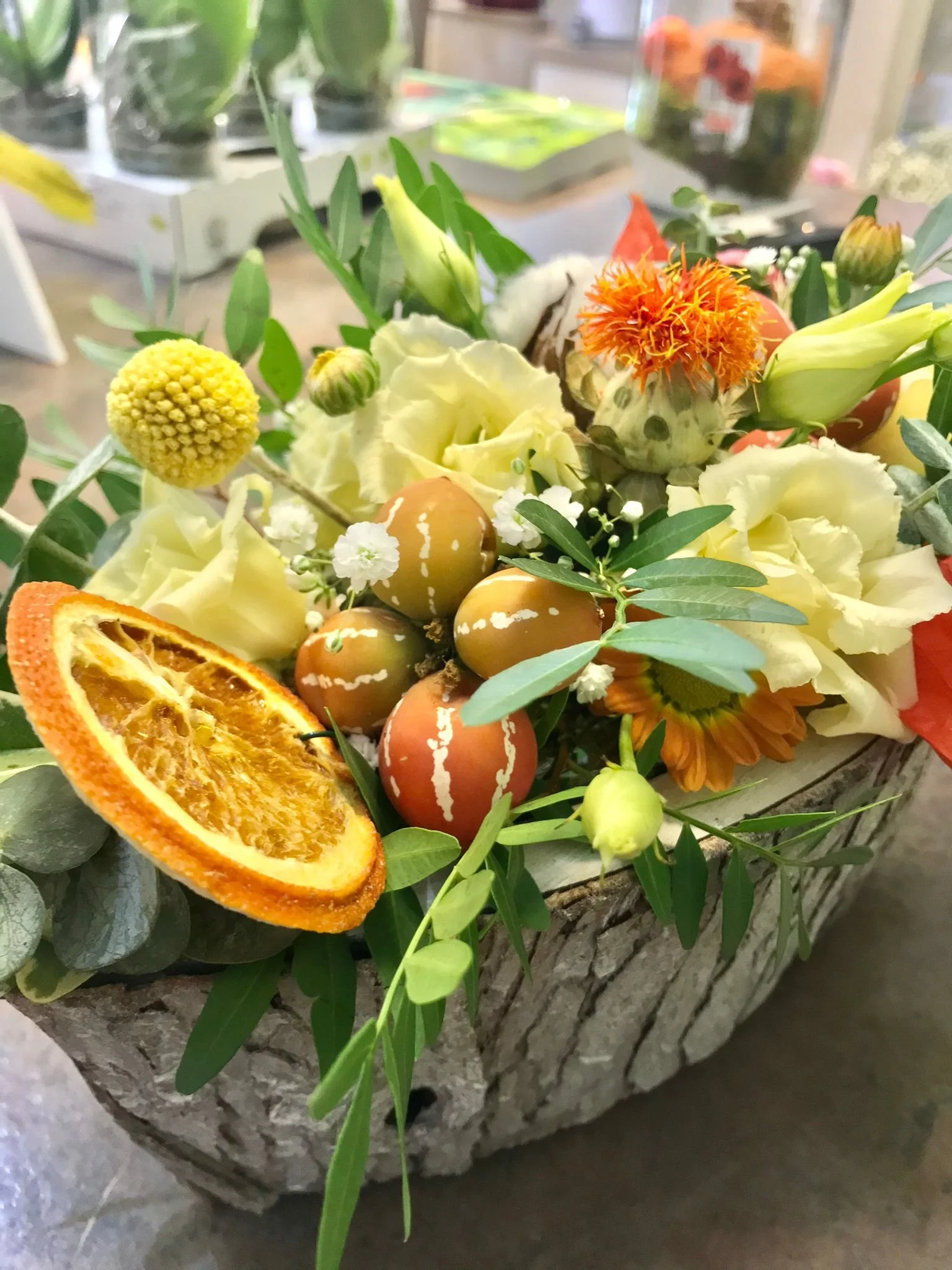 WhatsApp Image 2026-03-03 at 13.10.48.jpeg