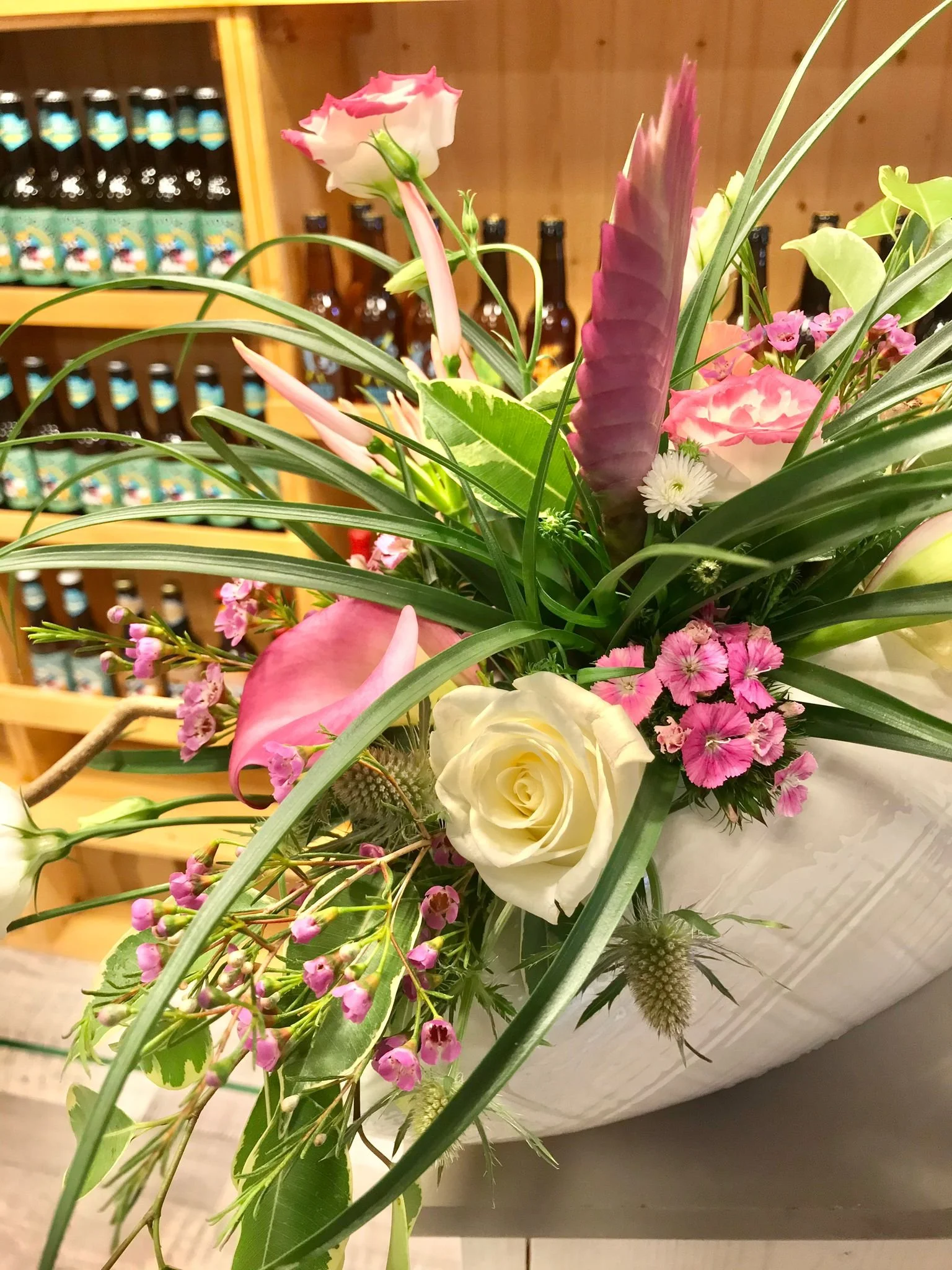 WhatsApp Image 2026-03-03 at 13.10.48 (2).jpeg