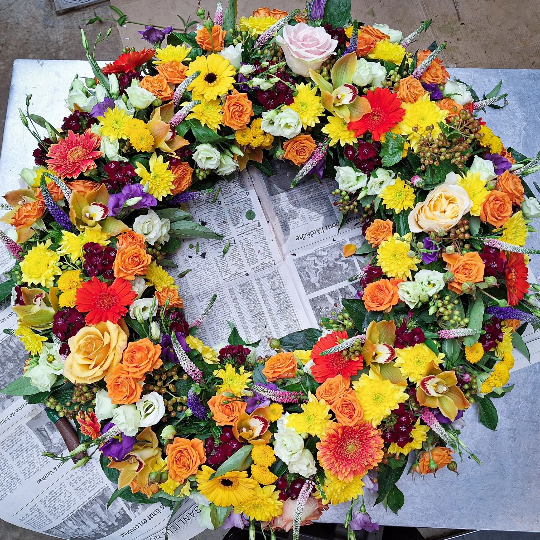 WhatsApp Image 2026-03-03 at 13.05.45.jpeg