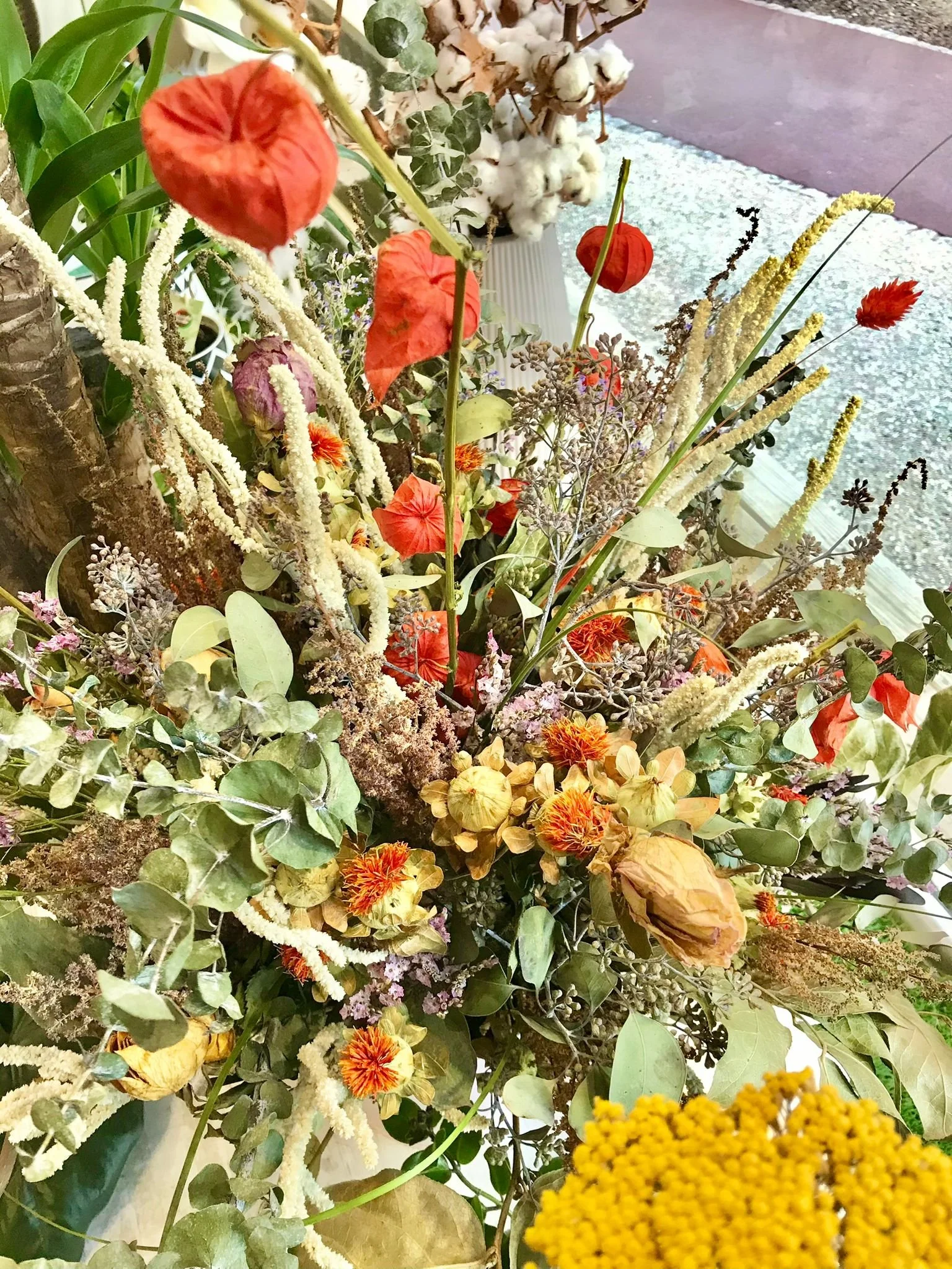 WhatsApp Image 2026-03-03 at 13.10.47 (3).jpeg