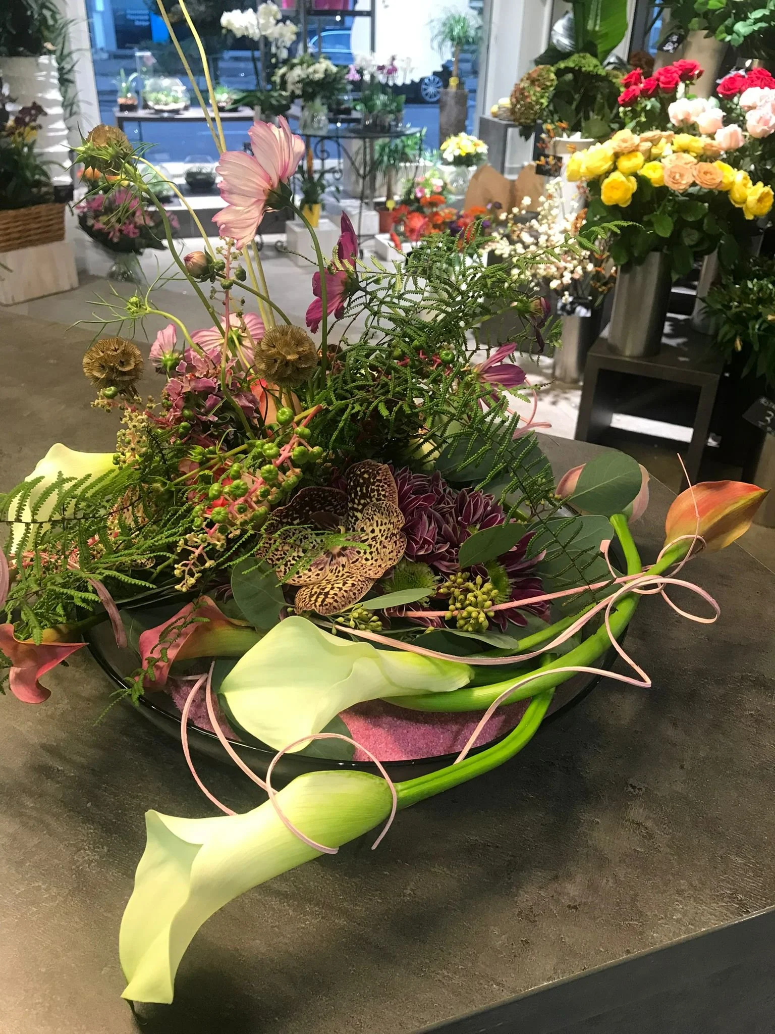 WhatsApp Image 2026-03-03 at 13.10.08 (3).jpeg